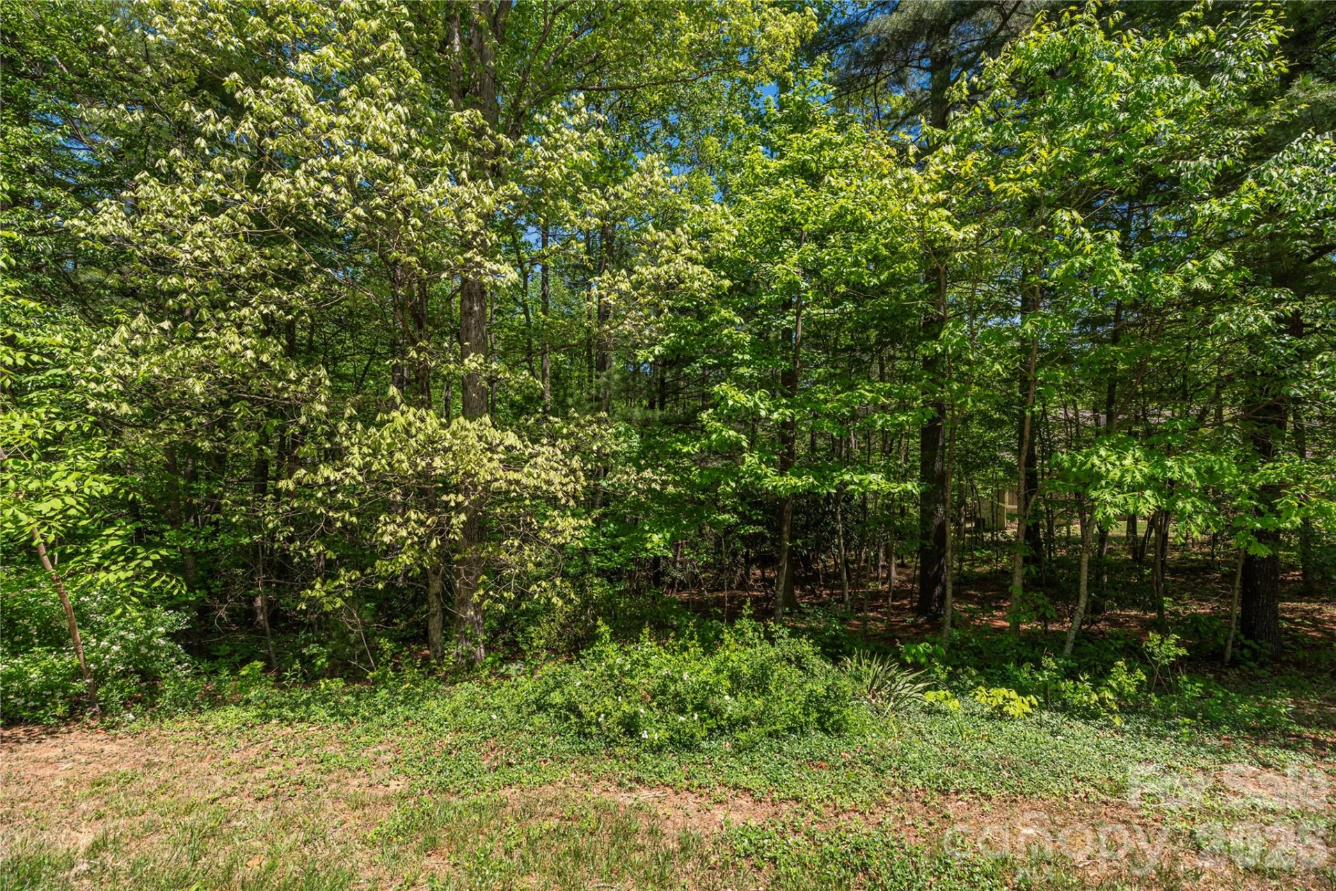 305 Freedom Trail Court - Photo 2
