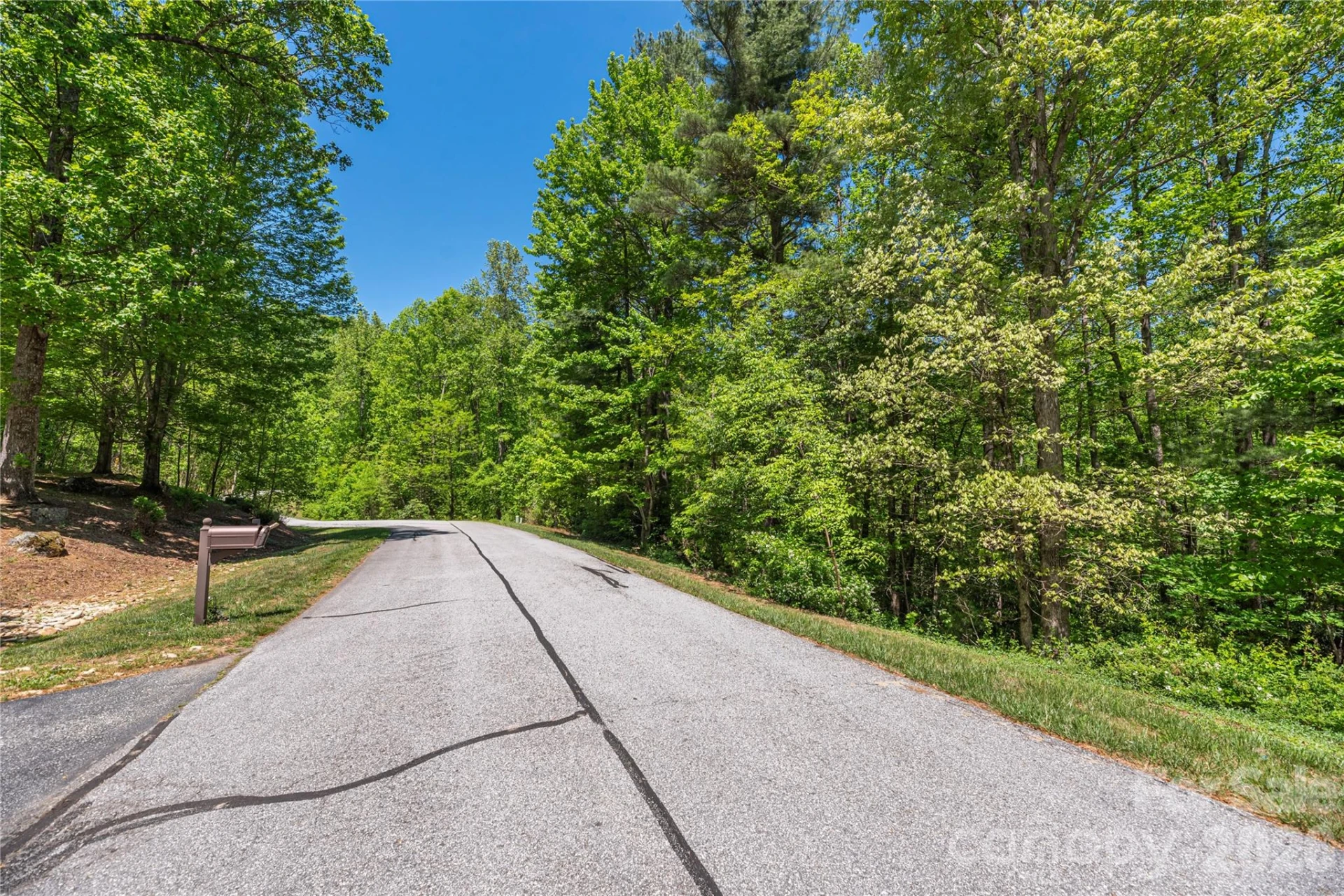 305 Freedom Trail Court - Photo 3