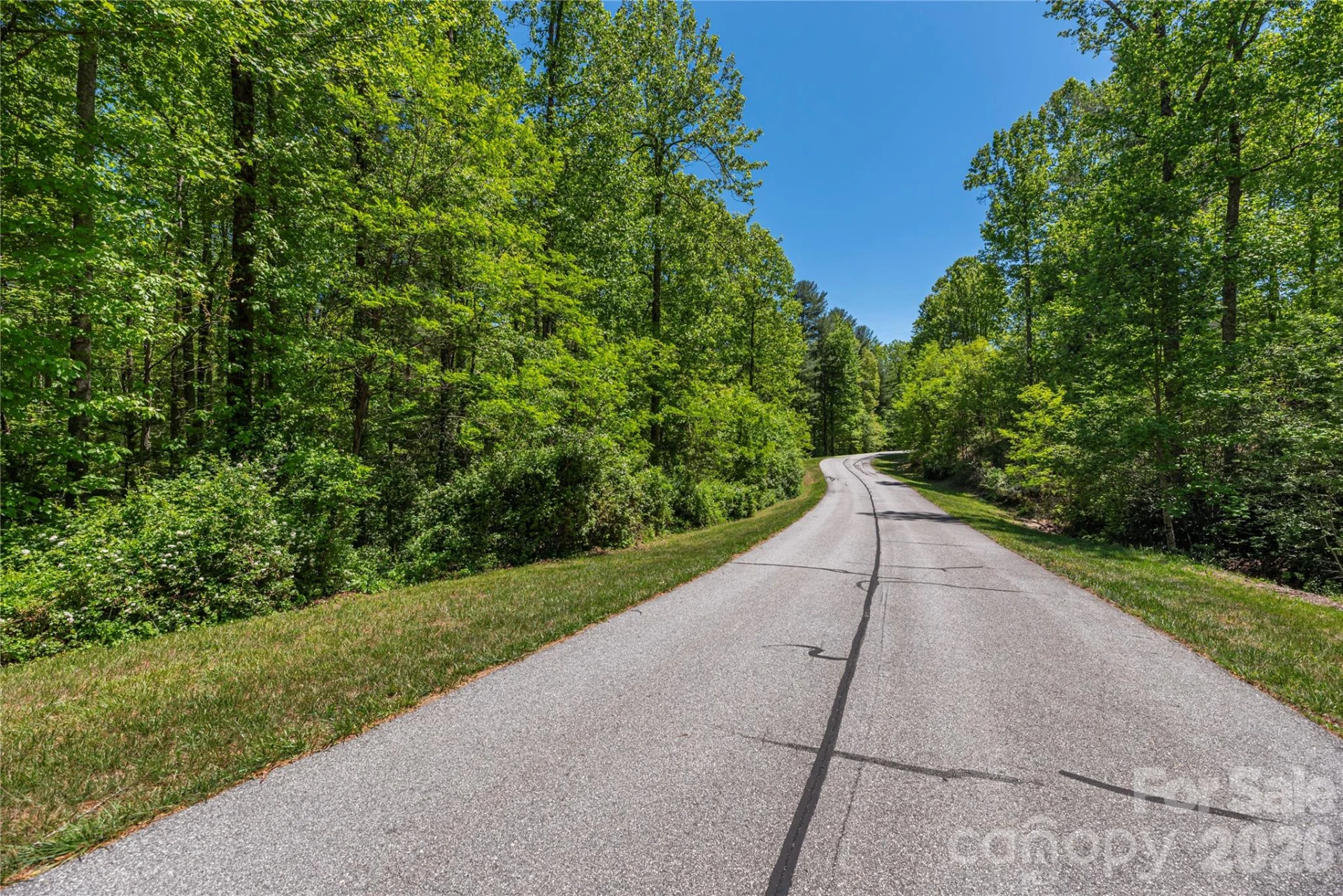 305 Freedom Trail Court - Photo 6