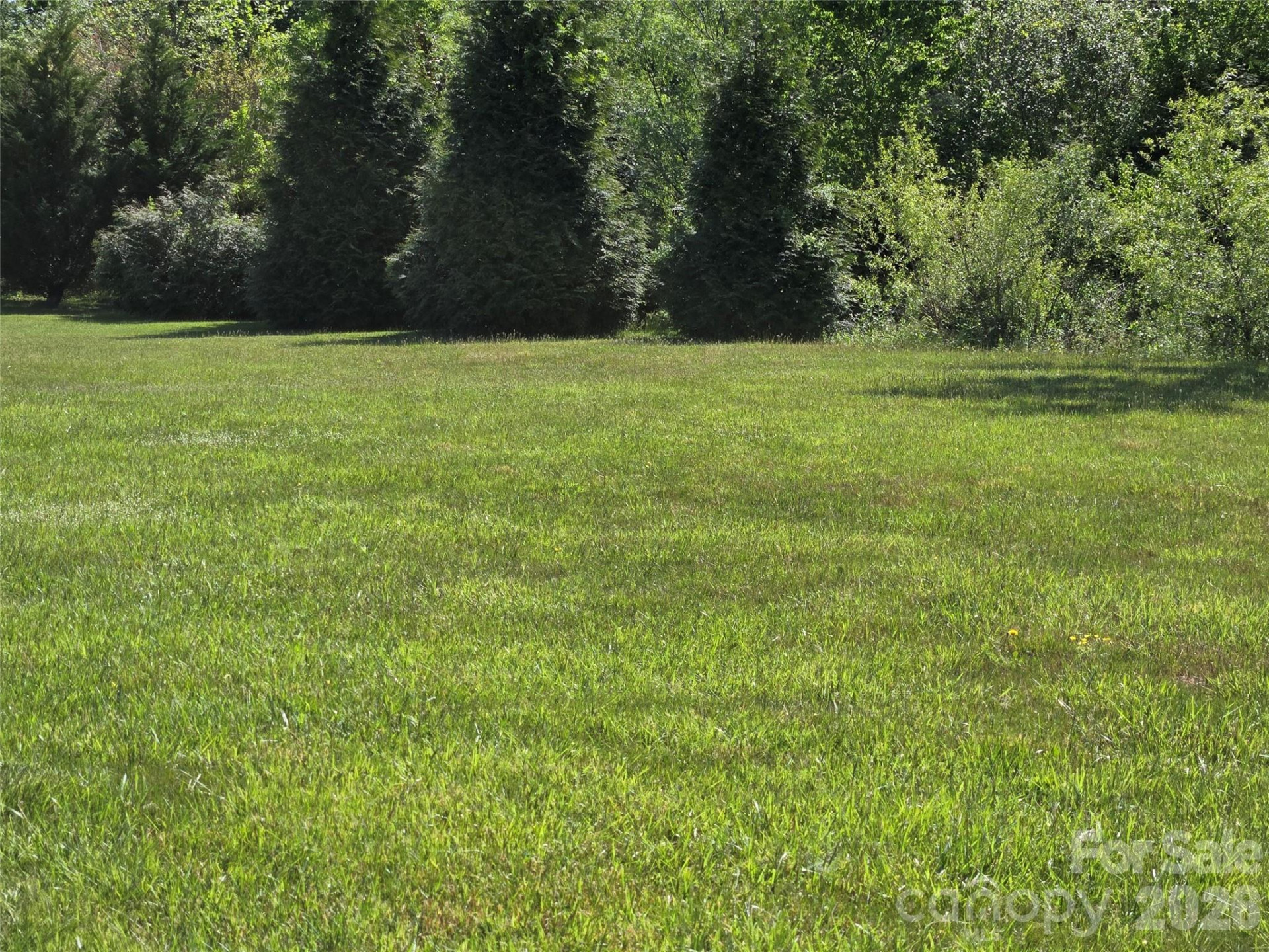 Lot 80 Blacksmith Run Drive - Photo 2