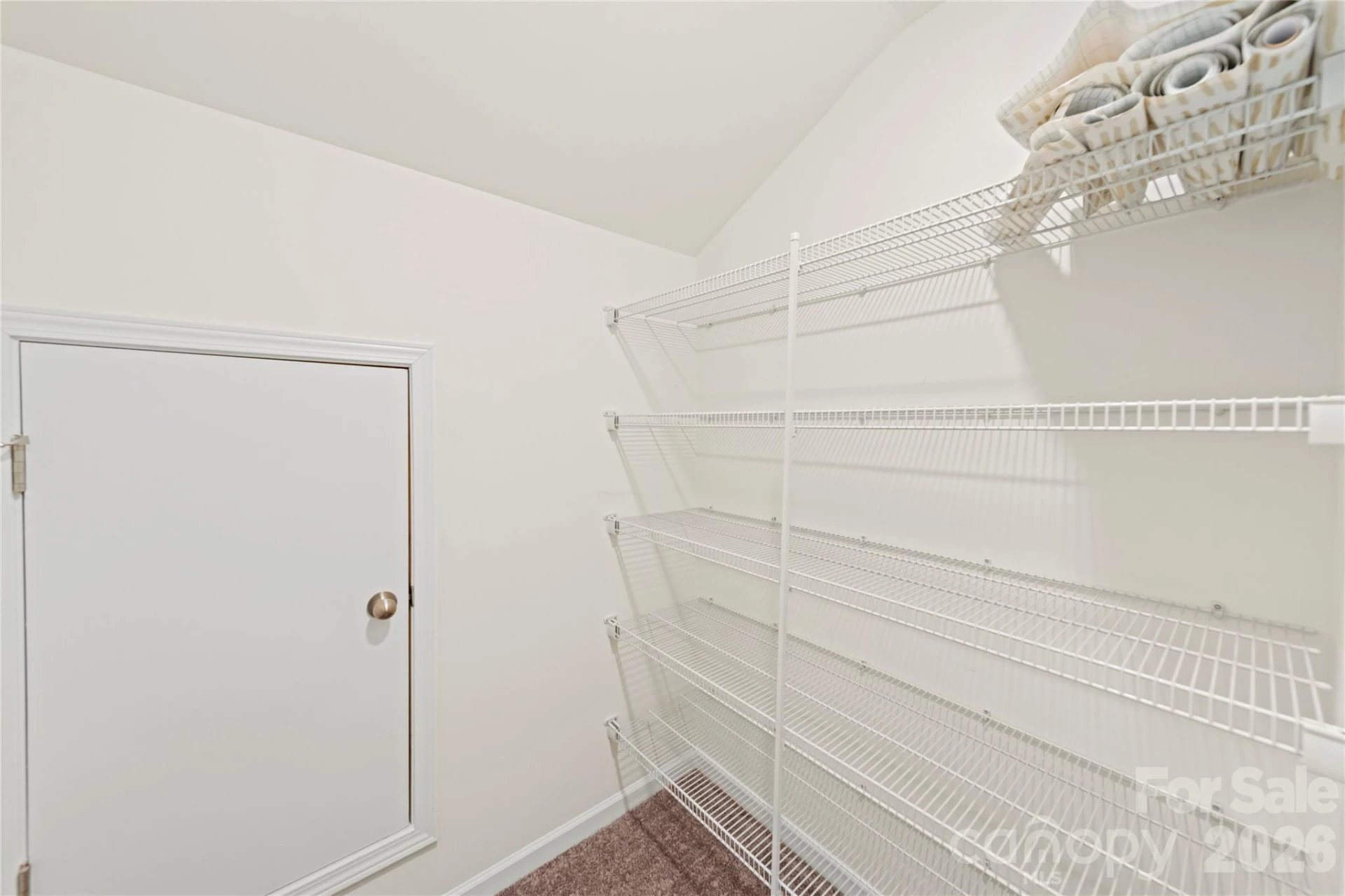 3010 Eagle Ridge Lane - Photo 37