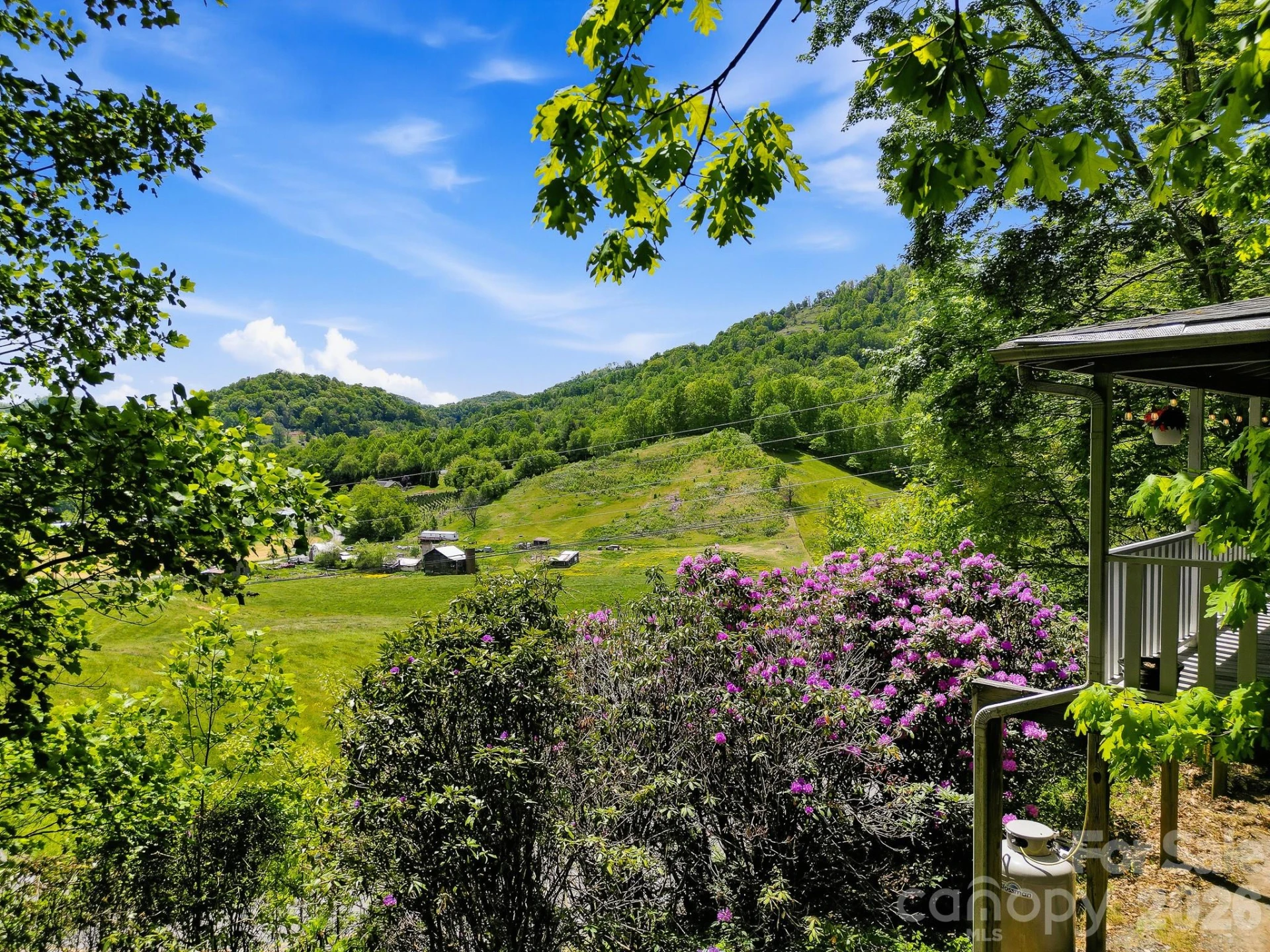 2131 Coleman Mountain Road #7 - Photo 5