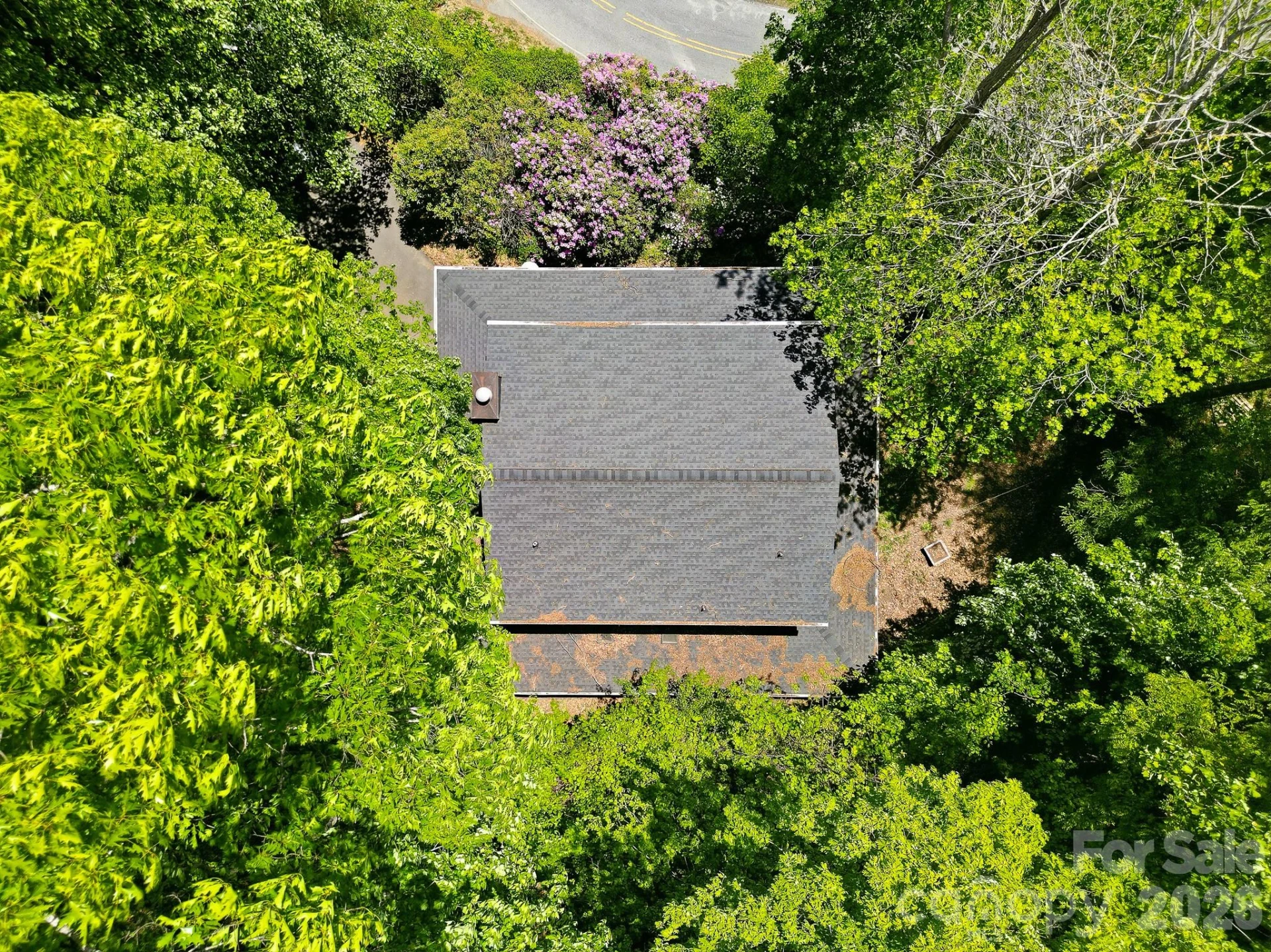 2131 Coleman Mountain Road #7 - Photo 46