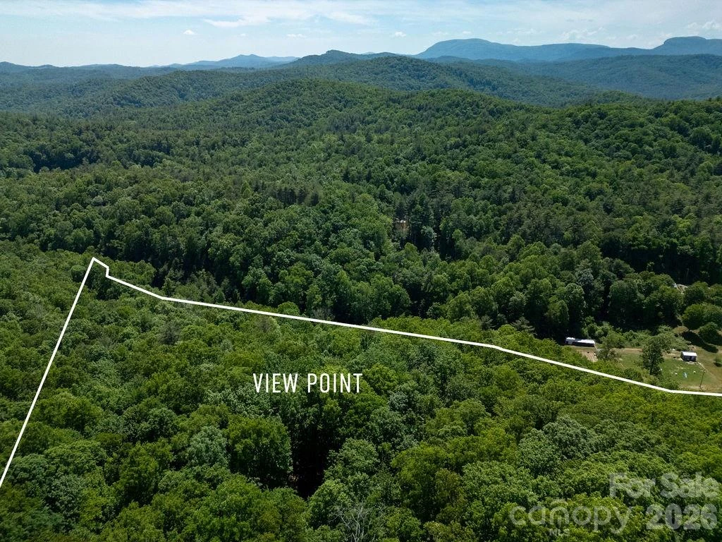 TBD Diamond Creek Road - Photo 11