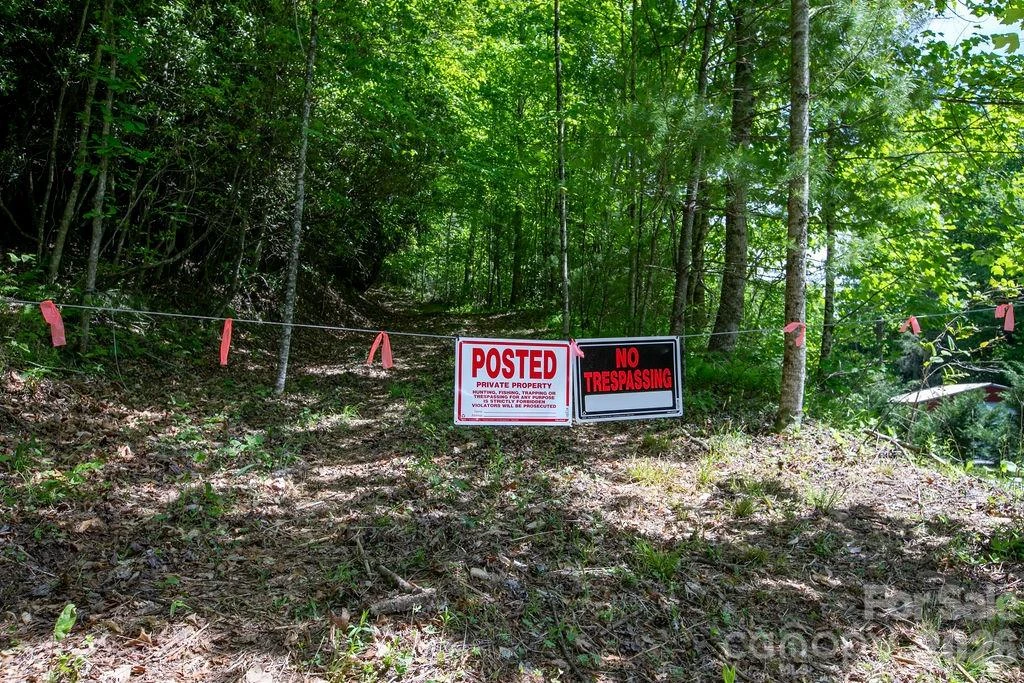TBD Diamond Creek Road - Photo 12