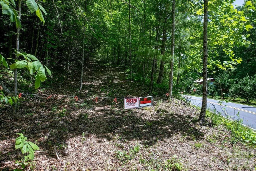 TBD Diamond Creek Road - Photo 13