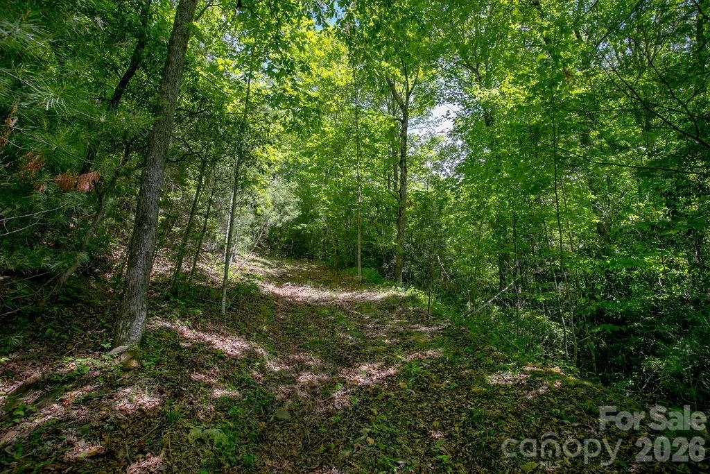 TBD Diamond Creek Road - Photo 14