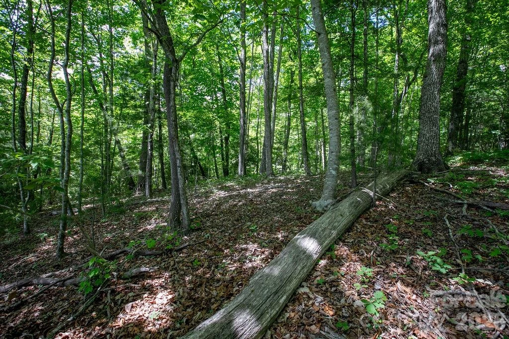TBD Diamond Creek Road - Photo 15