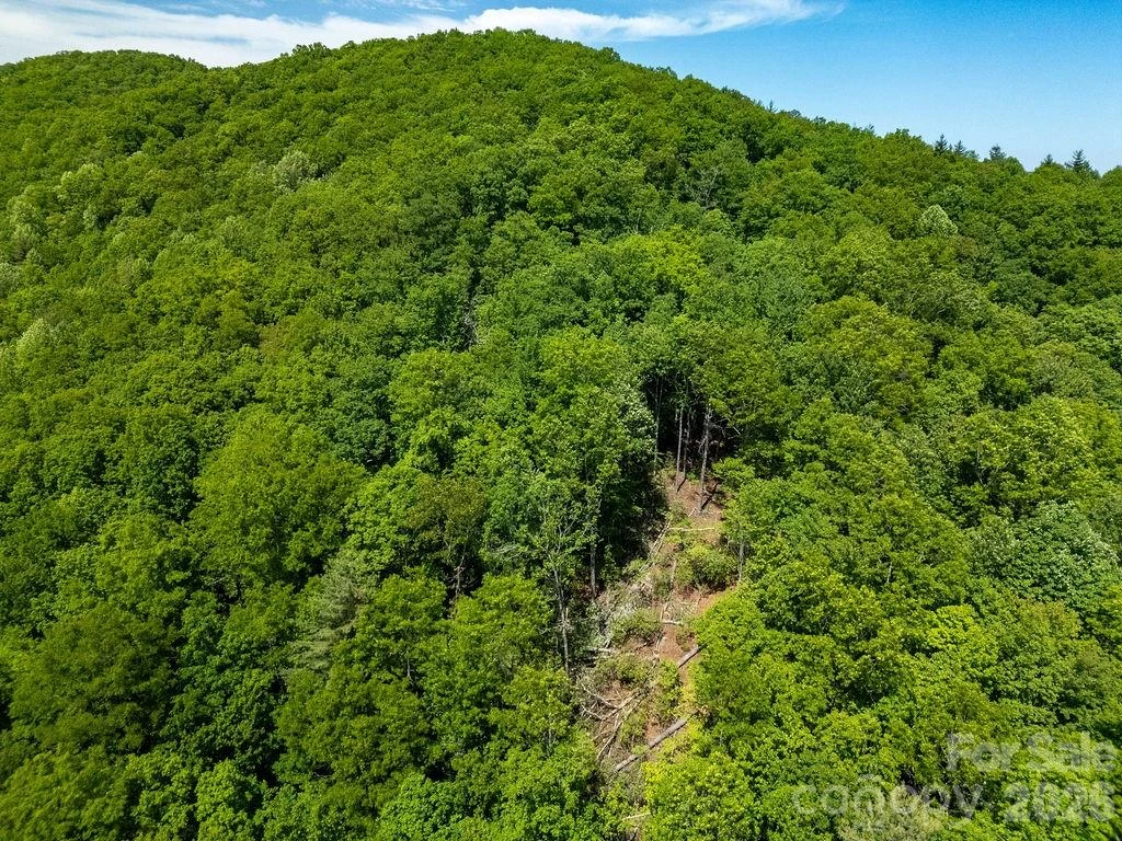 TBD Diamond Creek Road - Photo 10