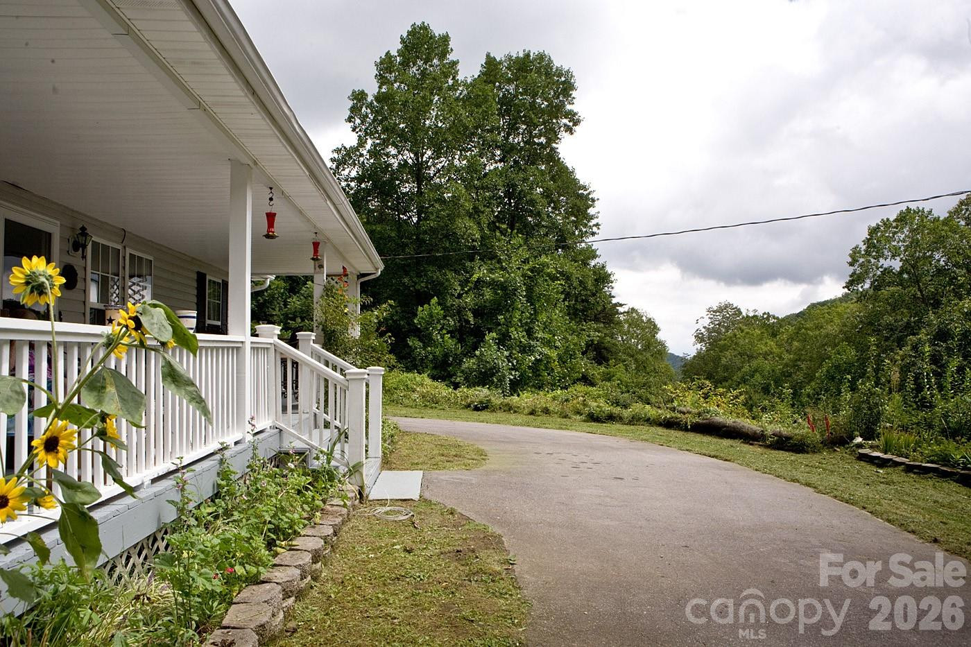 165 Peepeye Cove Road - Photo 4