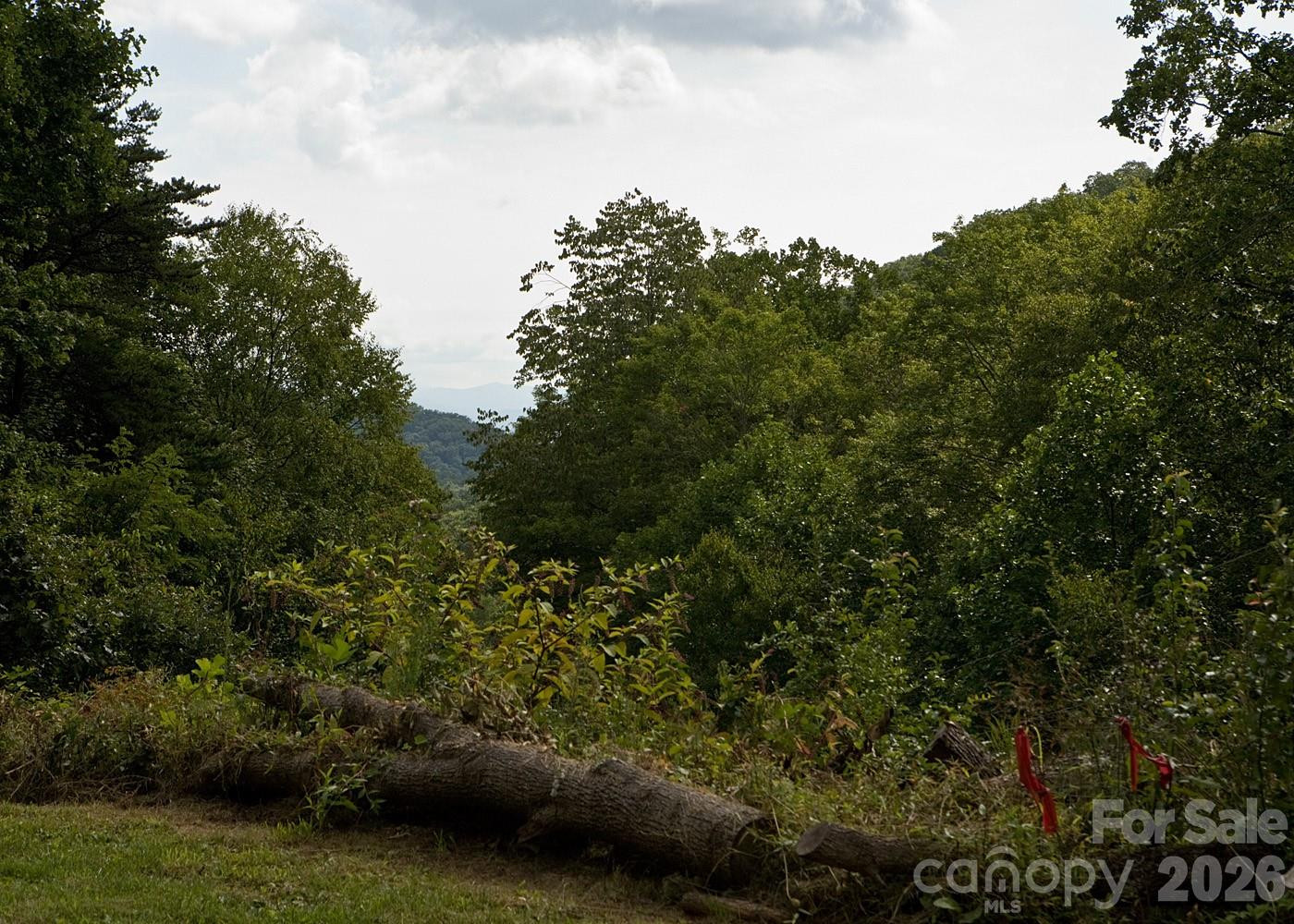 165 Peepeye Cove Road - Photo 5