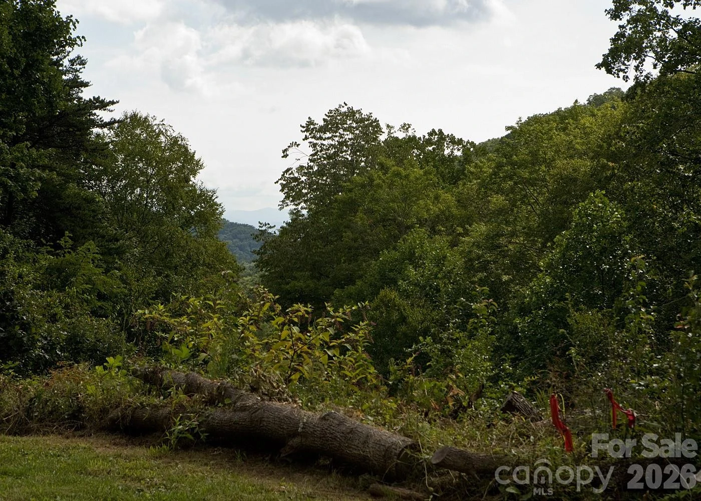 165 Peepeye Cove Road - Photo 5