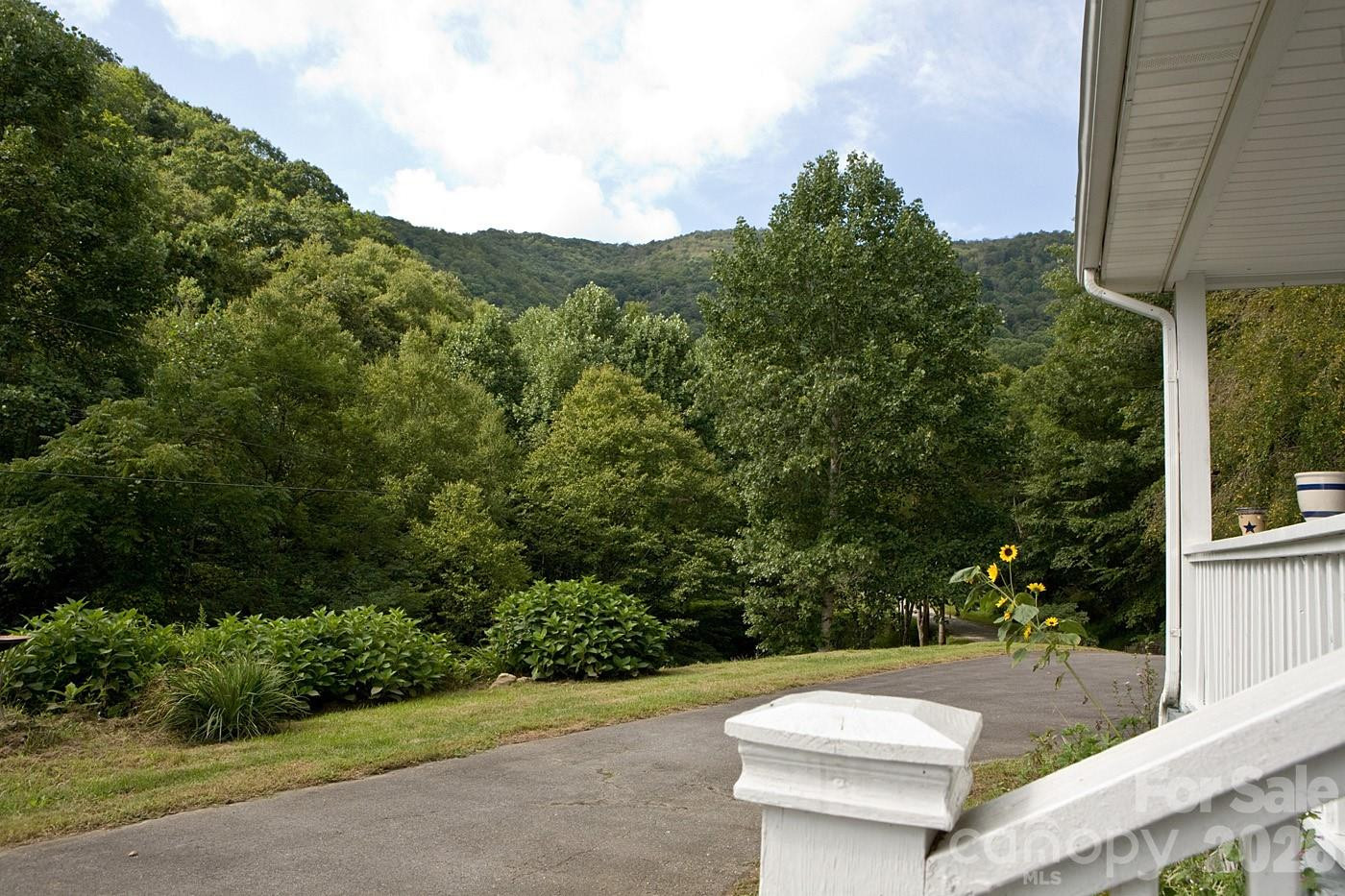 165 Peepeye Cove Road - Photo 6