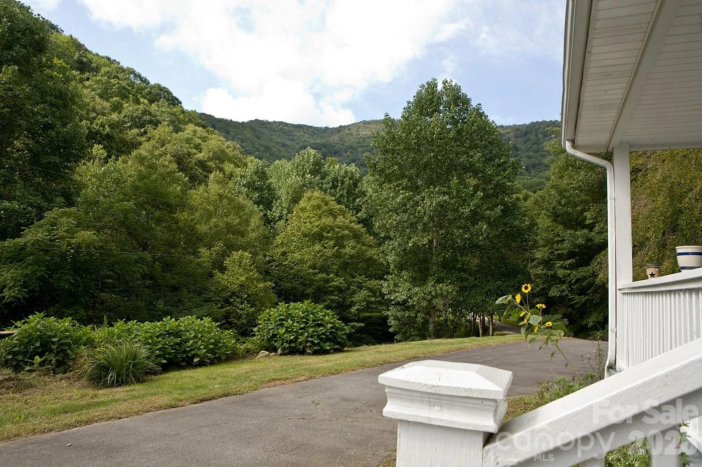 165 Peepeye Cove Road - Photo 6
