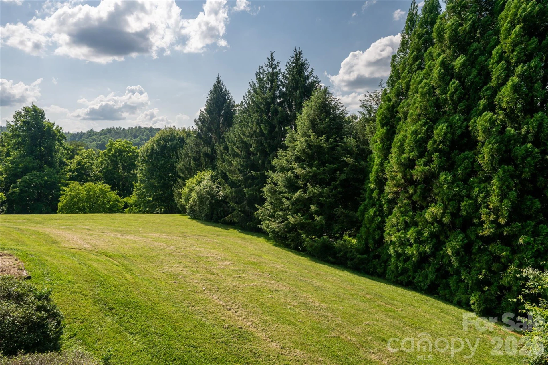 33 Bridle Path Drive - Photo 43