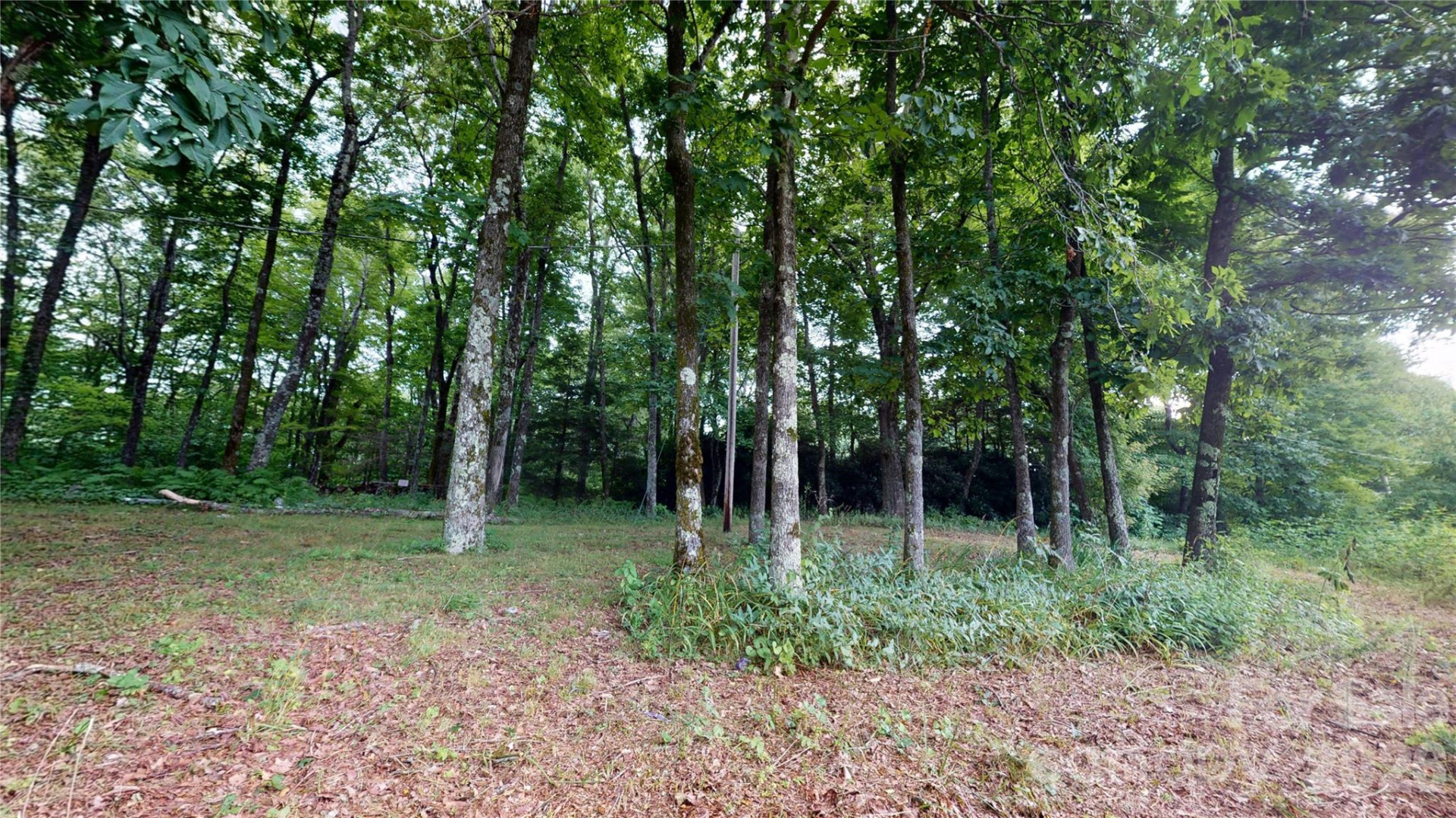 200 Osborn Knob Road - Photo 17