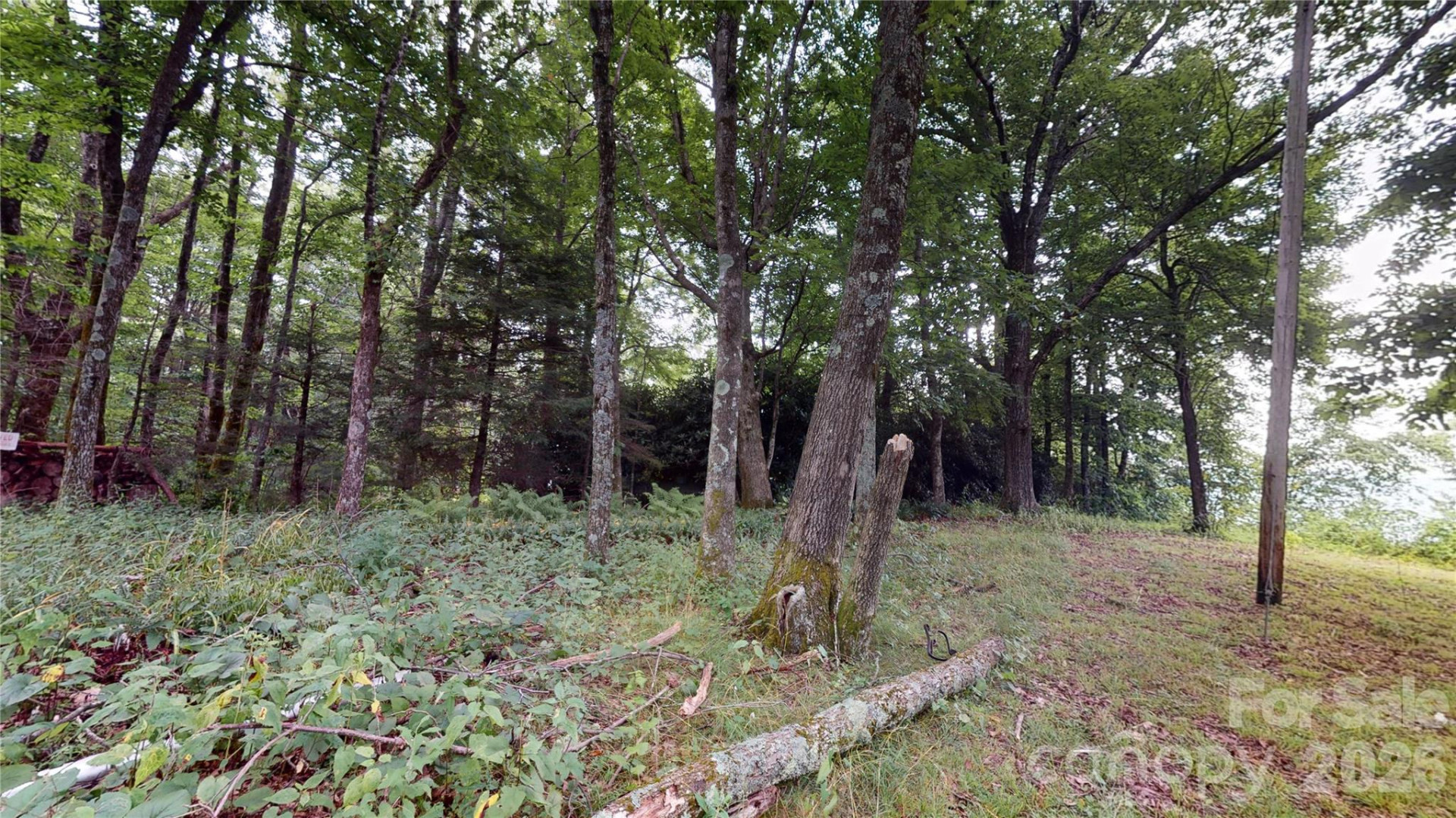 200 Osborn Knob Road - Photo 18