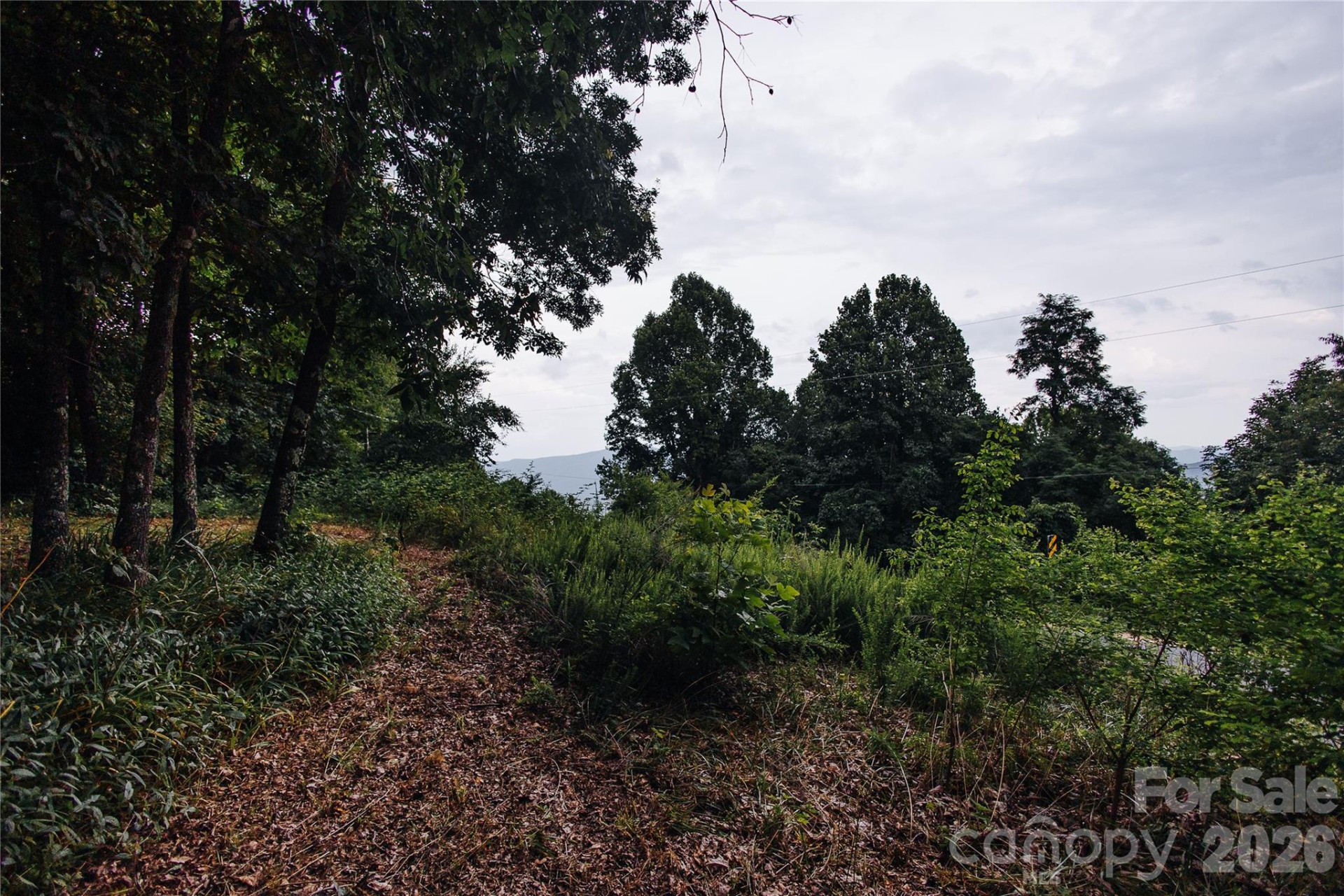200 Osborn Knob Road - Photo 5