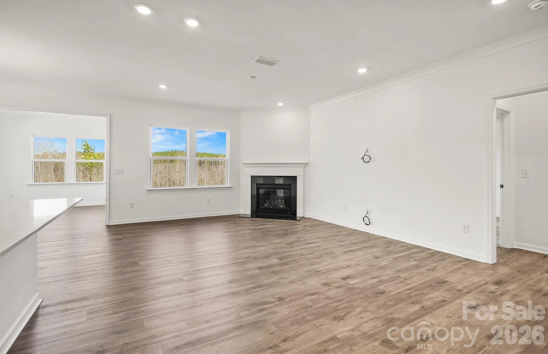 549 Cottage Garden Lane - Photo 9
