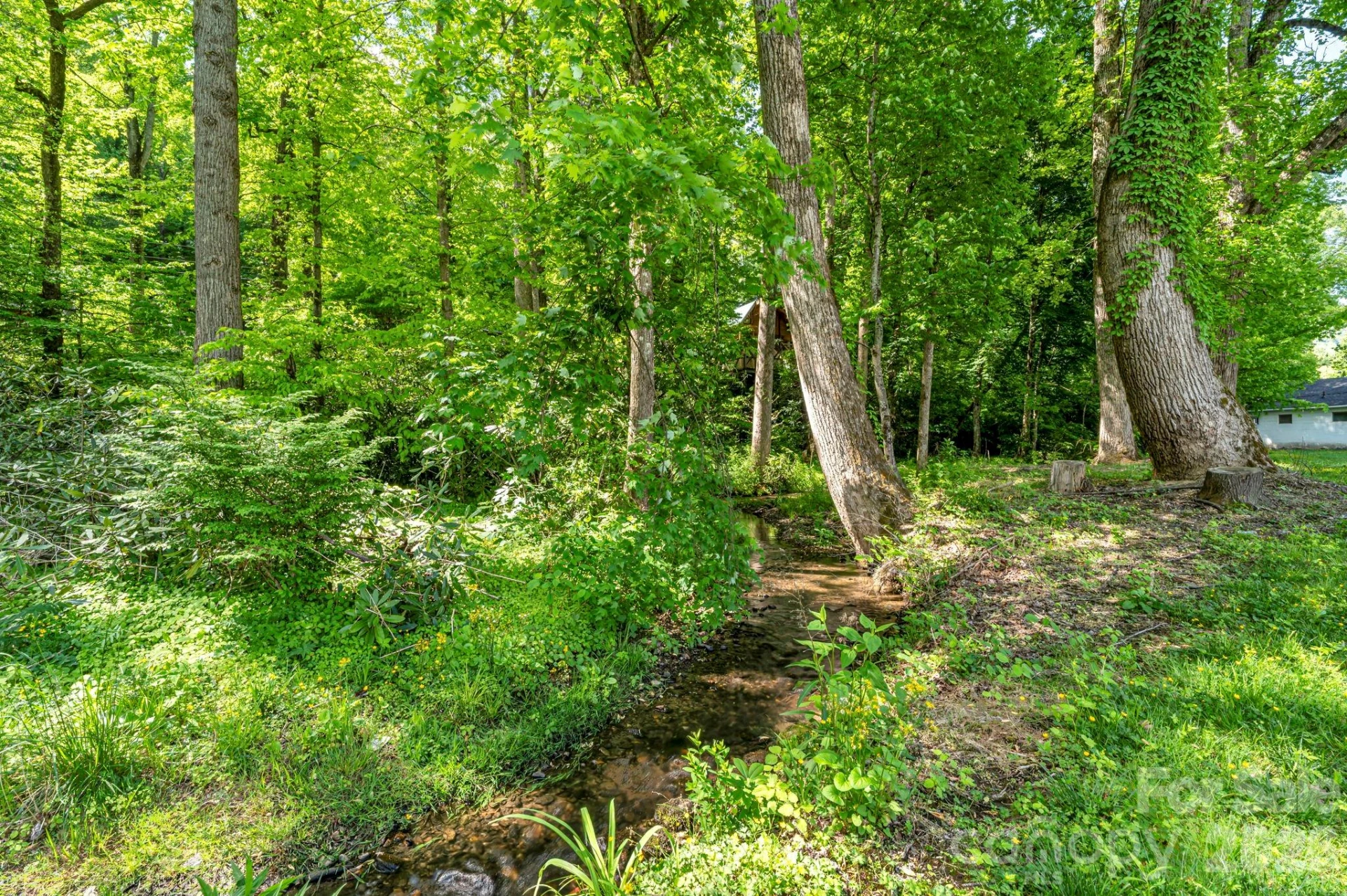 2355 Soco Road - Photo 7
