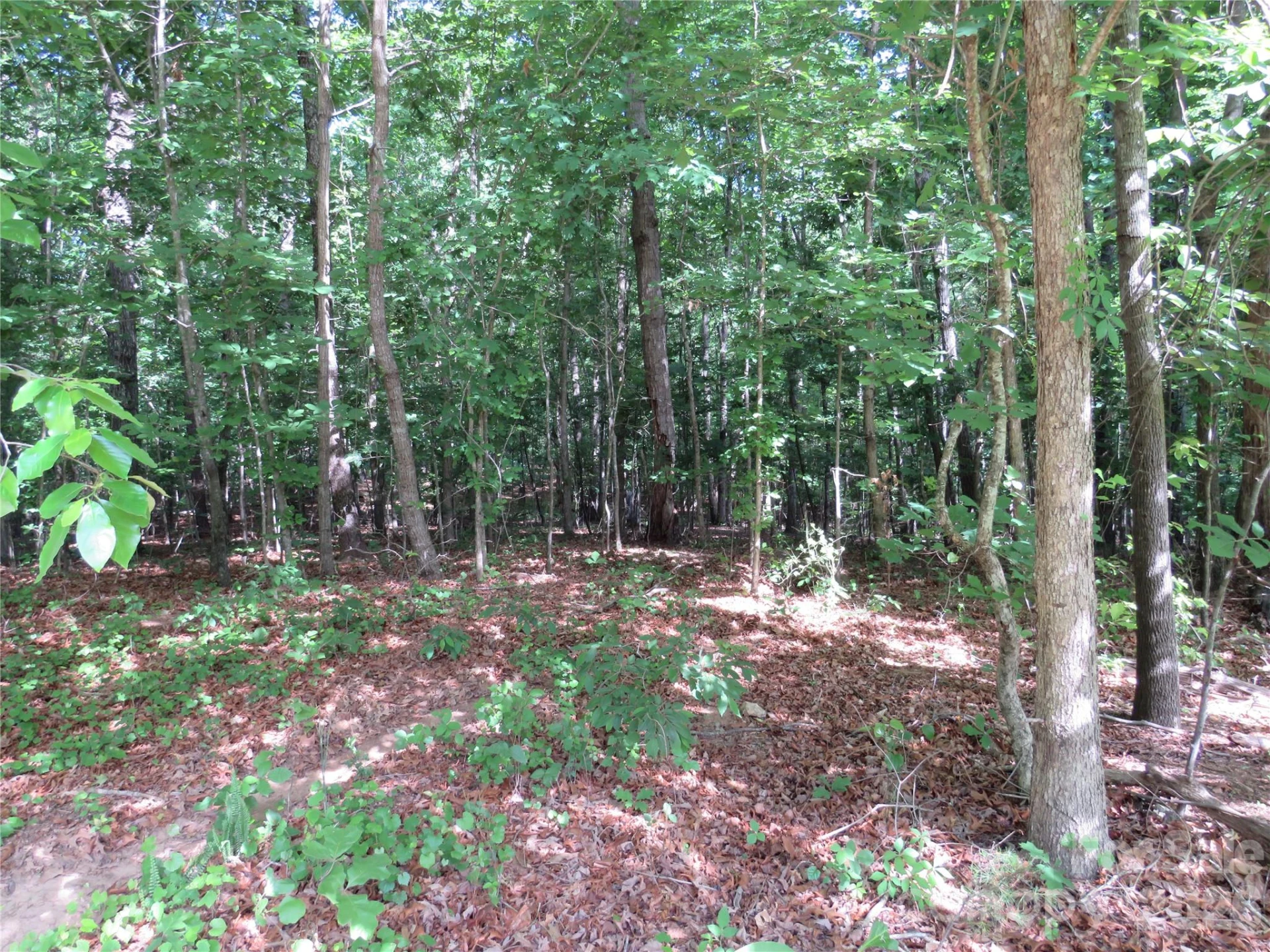 0 Woodleaf Road