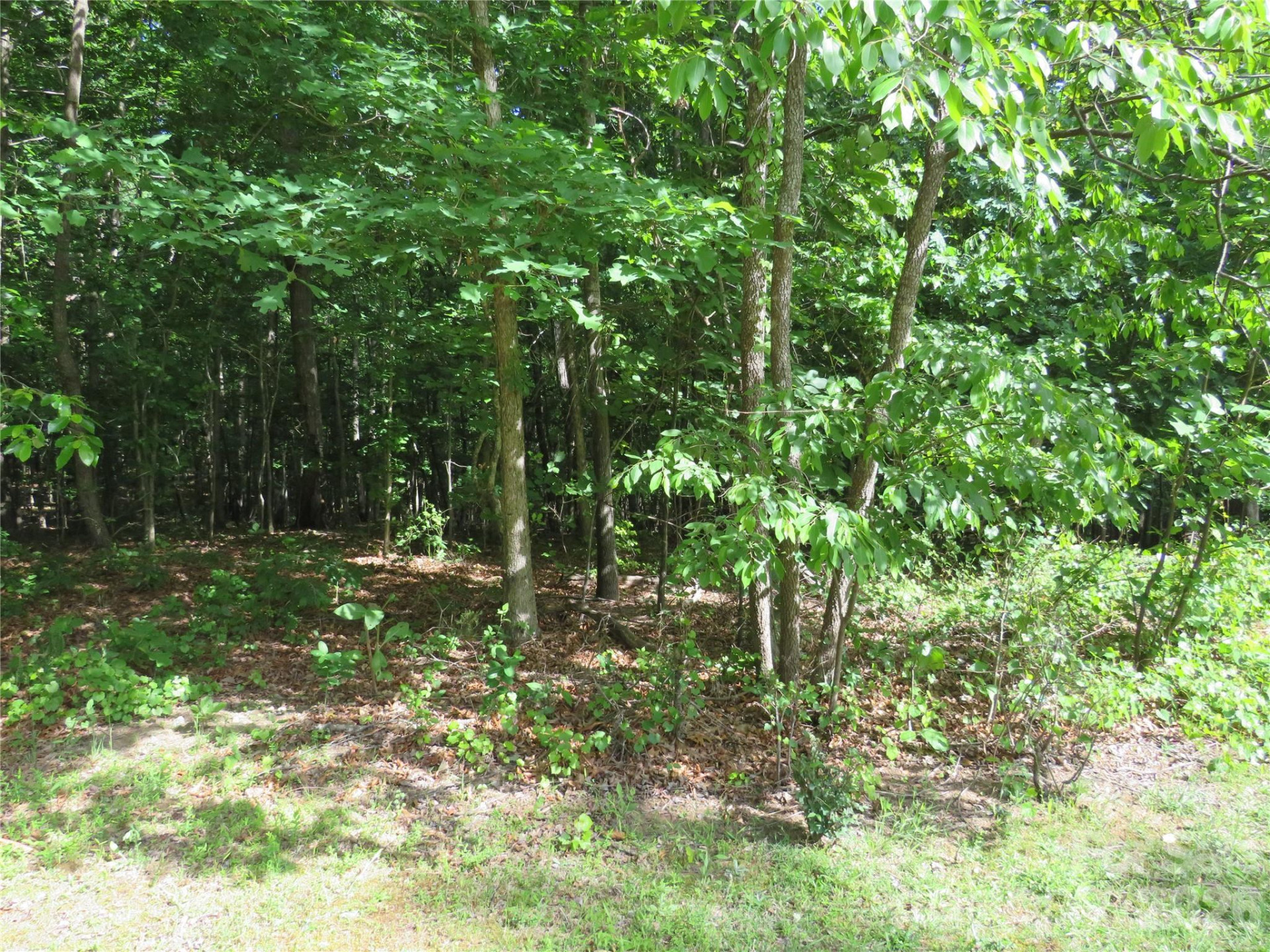 0 Woodleaf Road - Photo 2