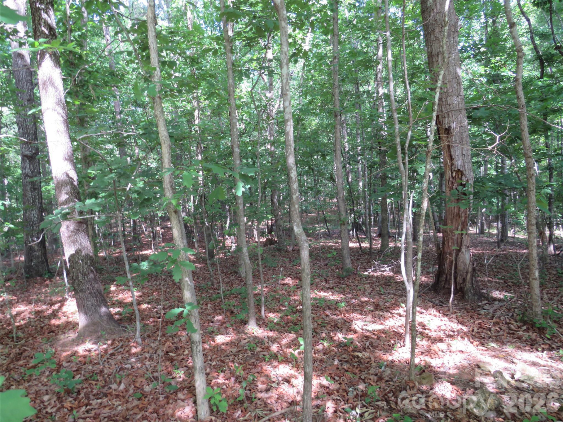 0 Woodleaf Road - Photo 11