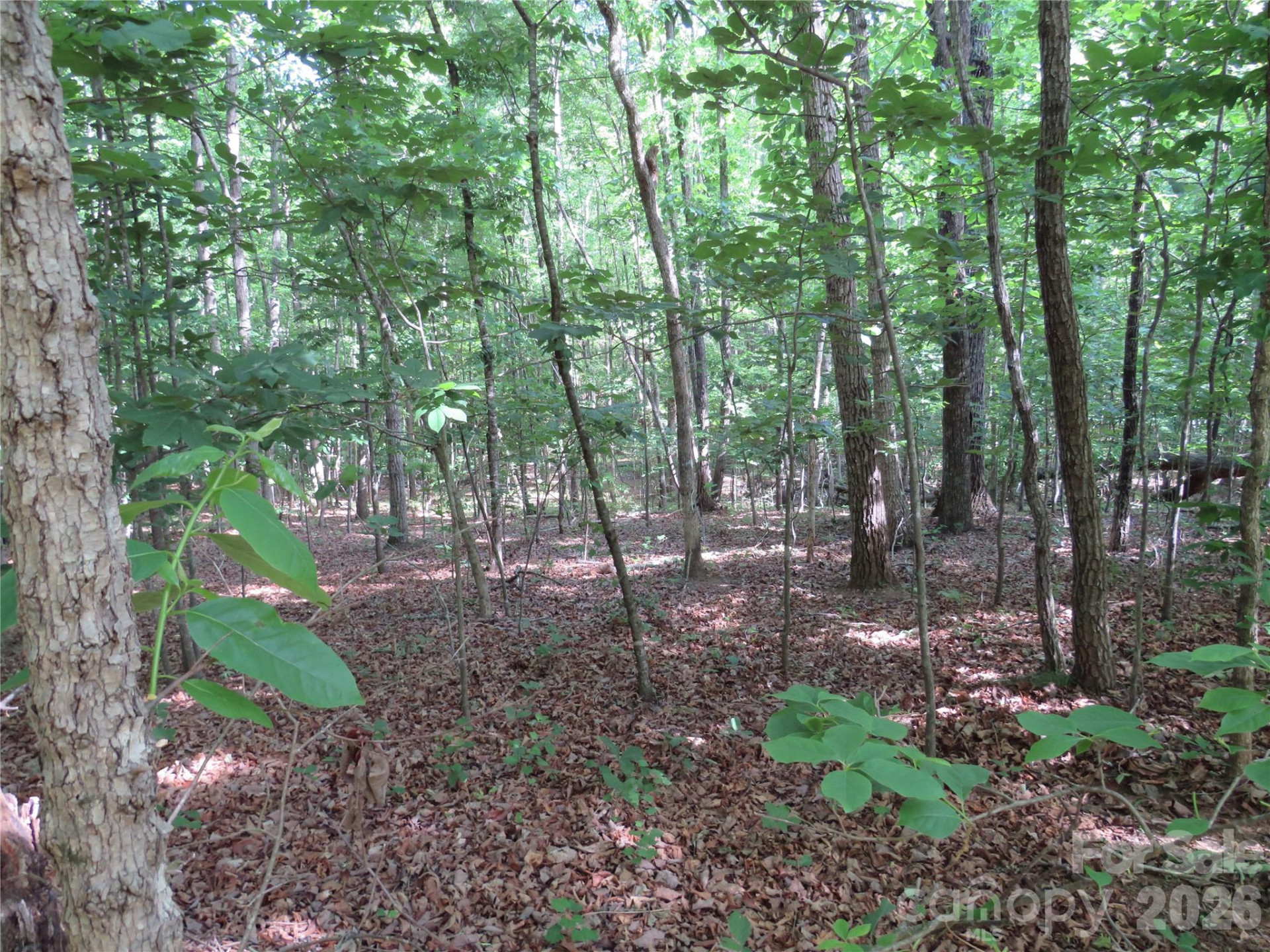 0 Woodleaf Road - Photo 12