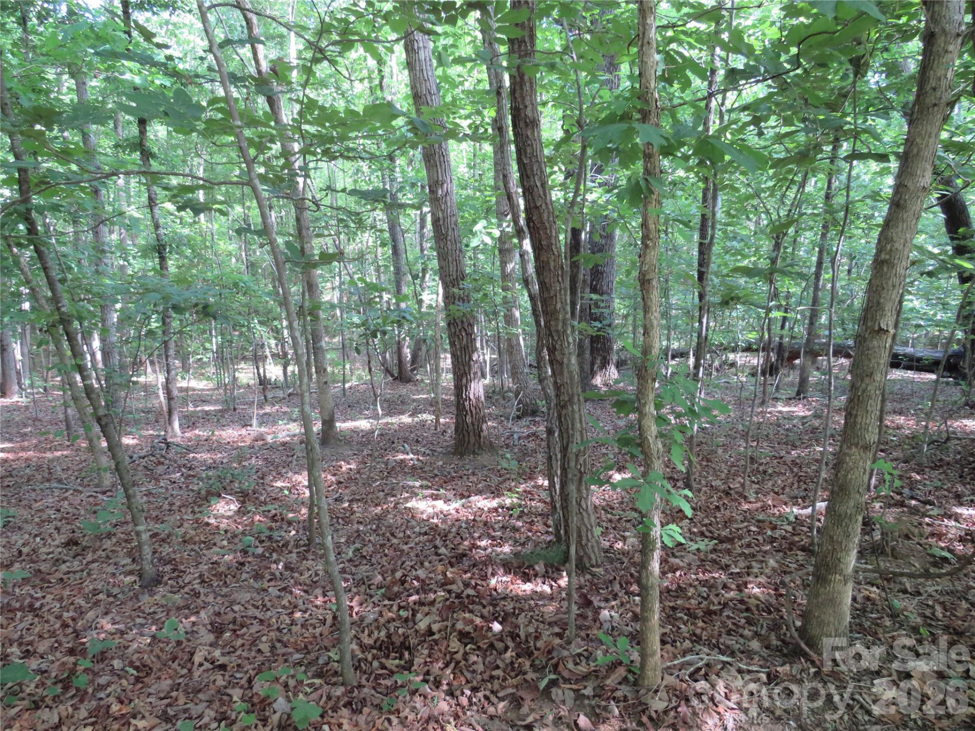 0 Woodleaf Road - Photo 13