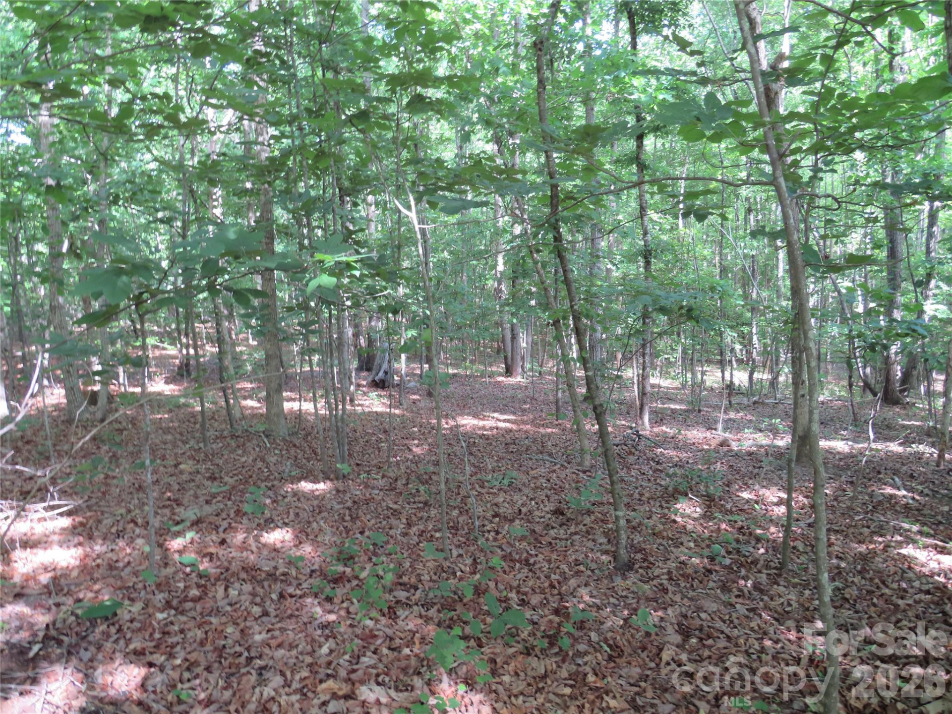 0 Woodleaf Road - Photo 14