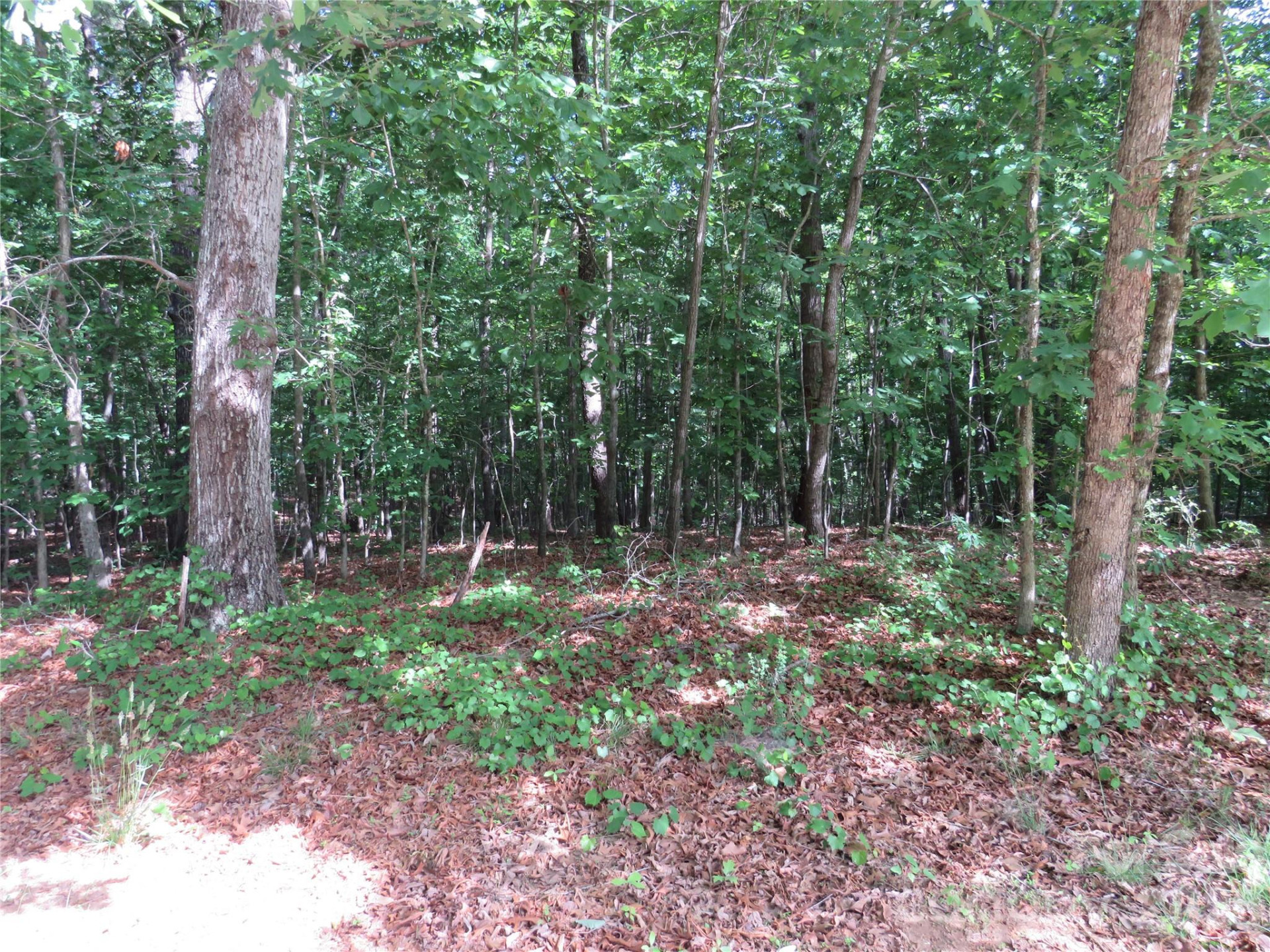 0 Woodleaf Road - Photo 16