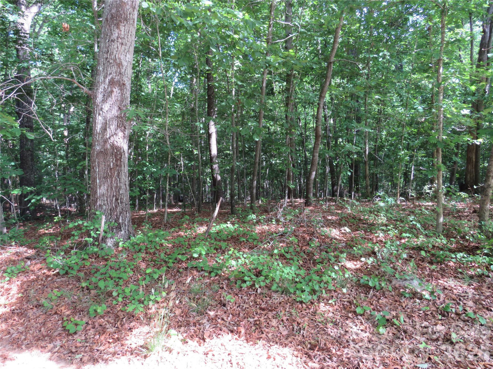 0 Woodleaf Road - Photo 17