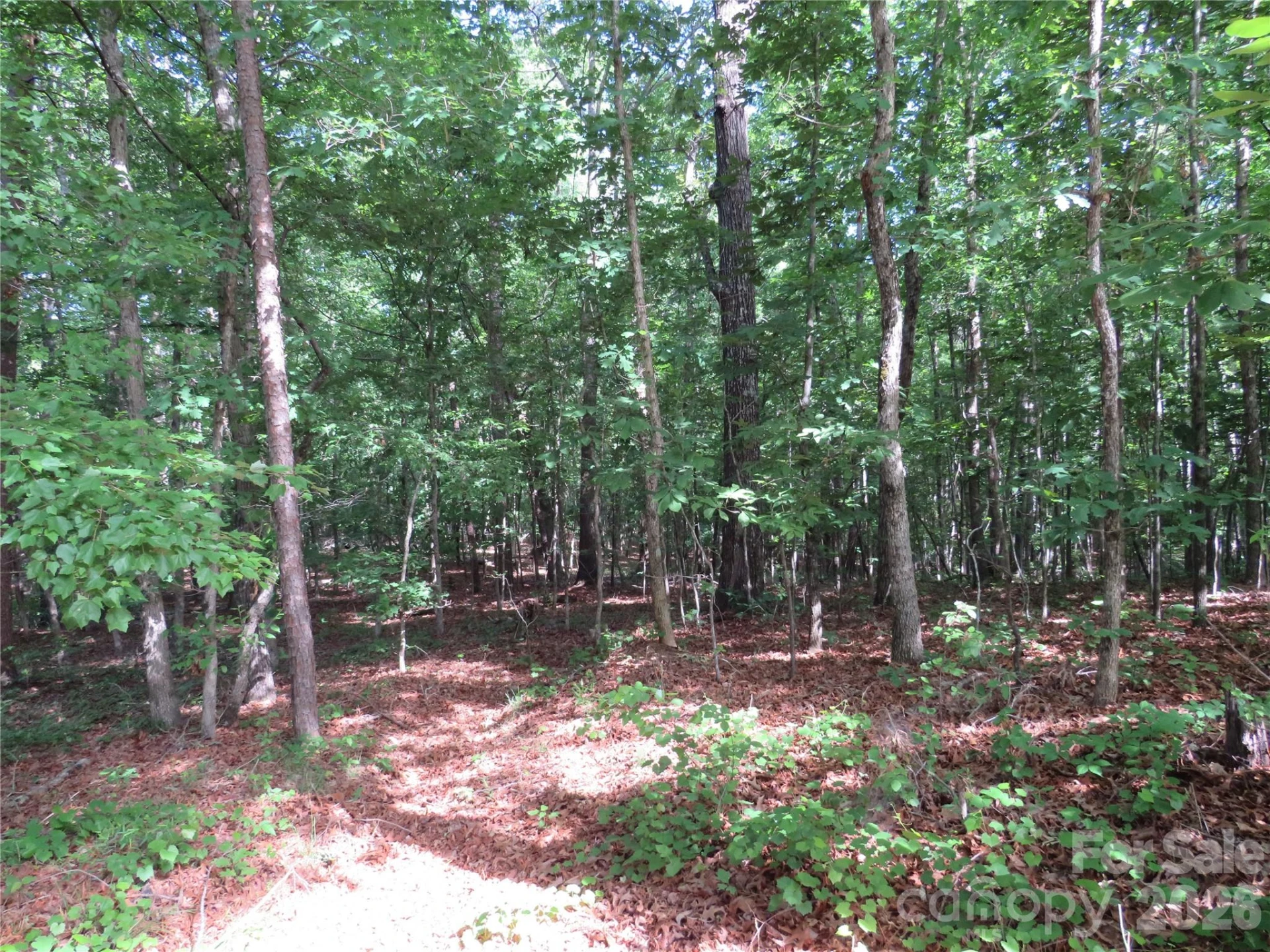 0 Woodleaf Road - Photo 18