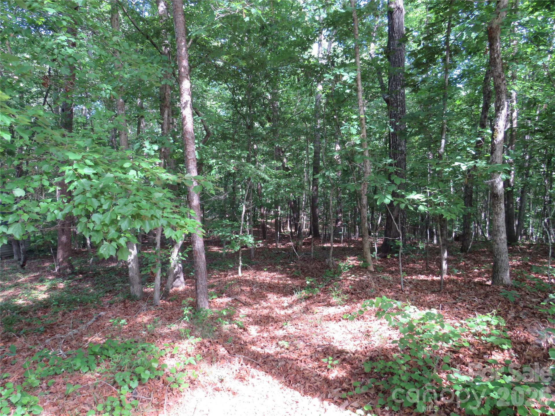 0 Woodleaf Road - Photo 19