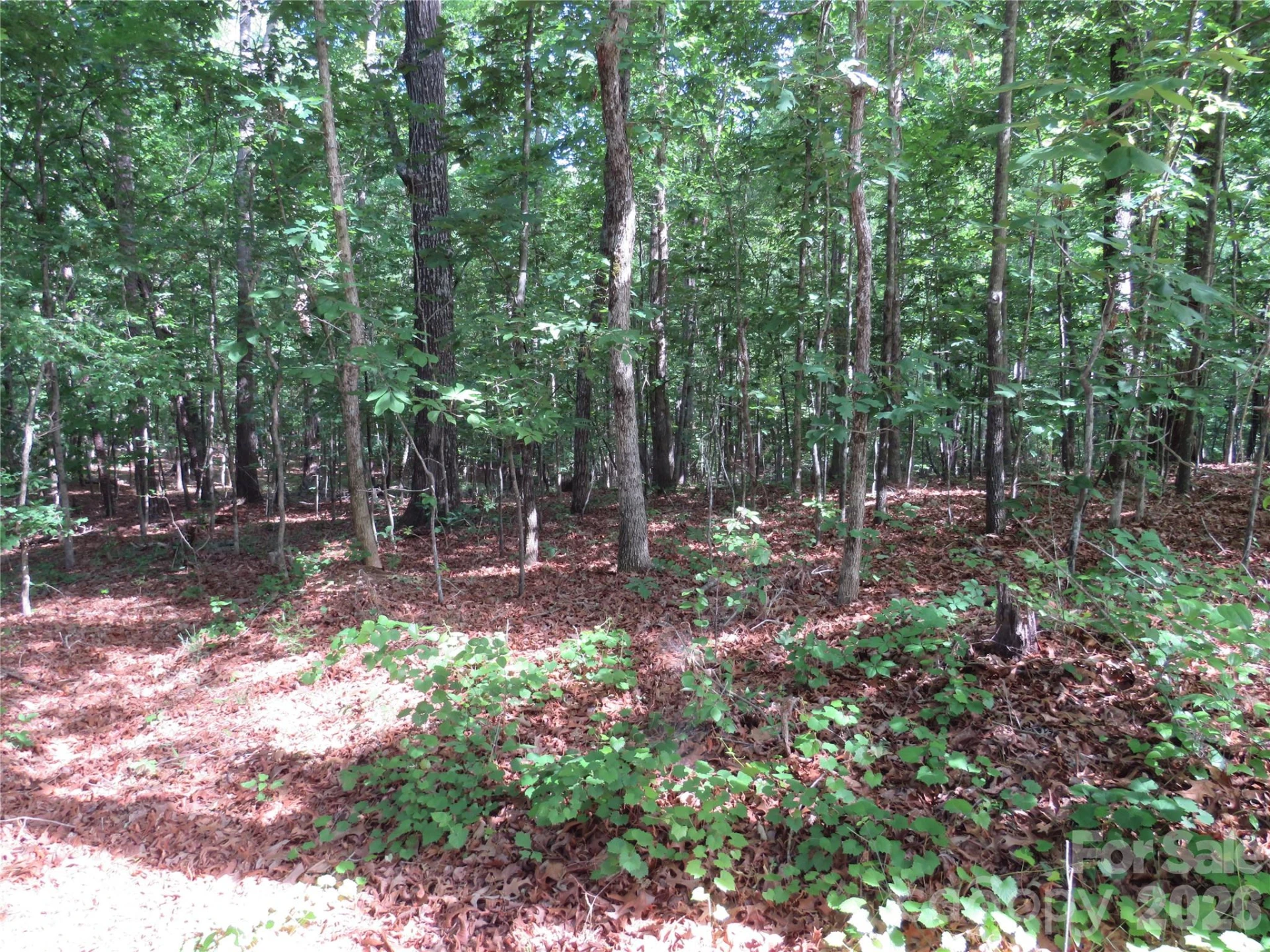 0 Woodleaf Road - Photo 20