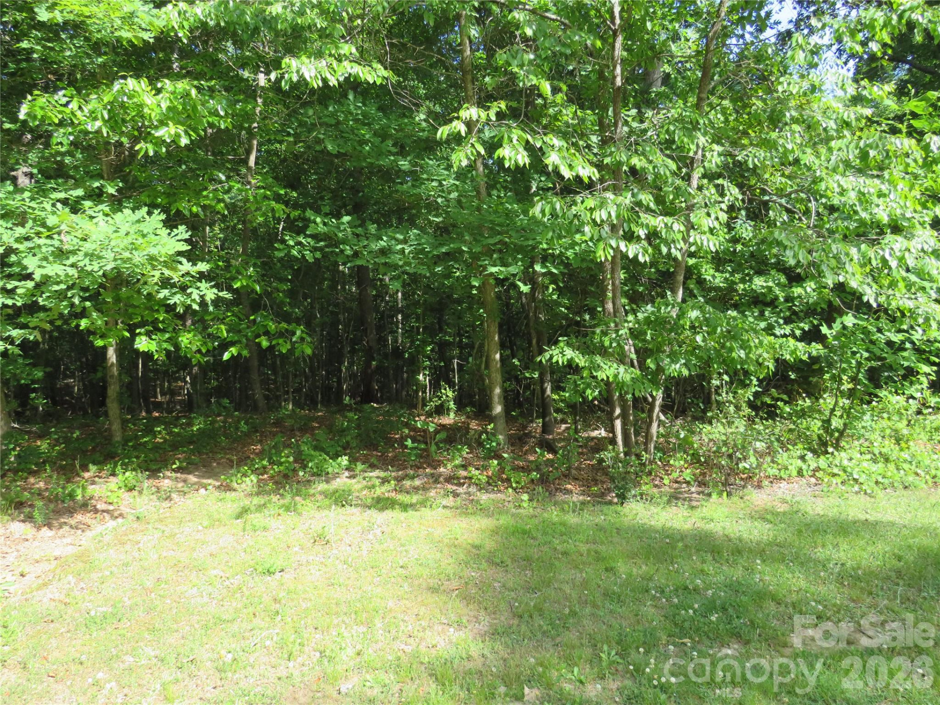 0 Woodleaf Road - Photo 3
