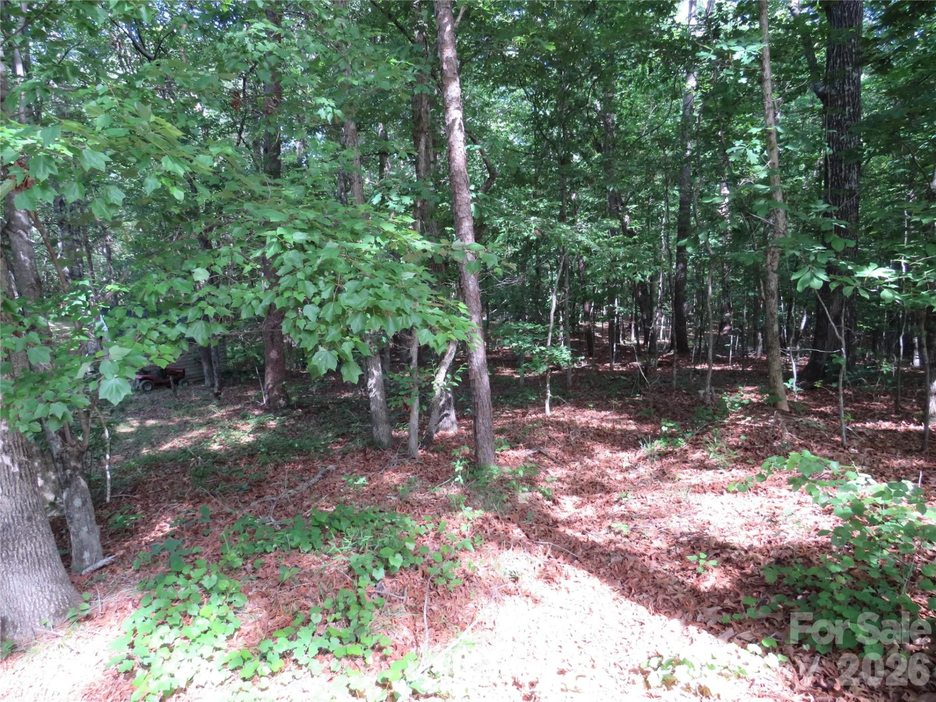 0 Woodleaf Road - Photo 21