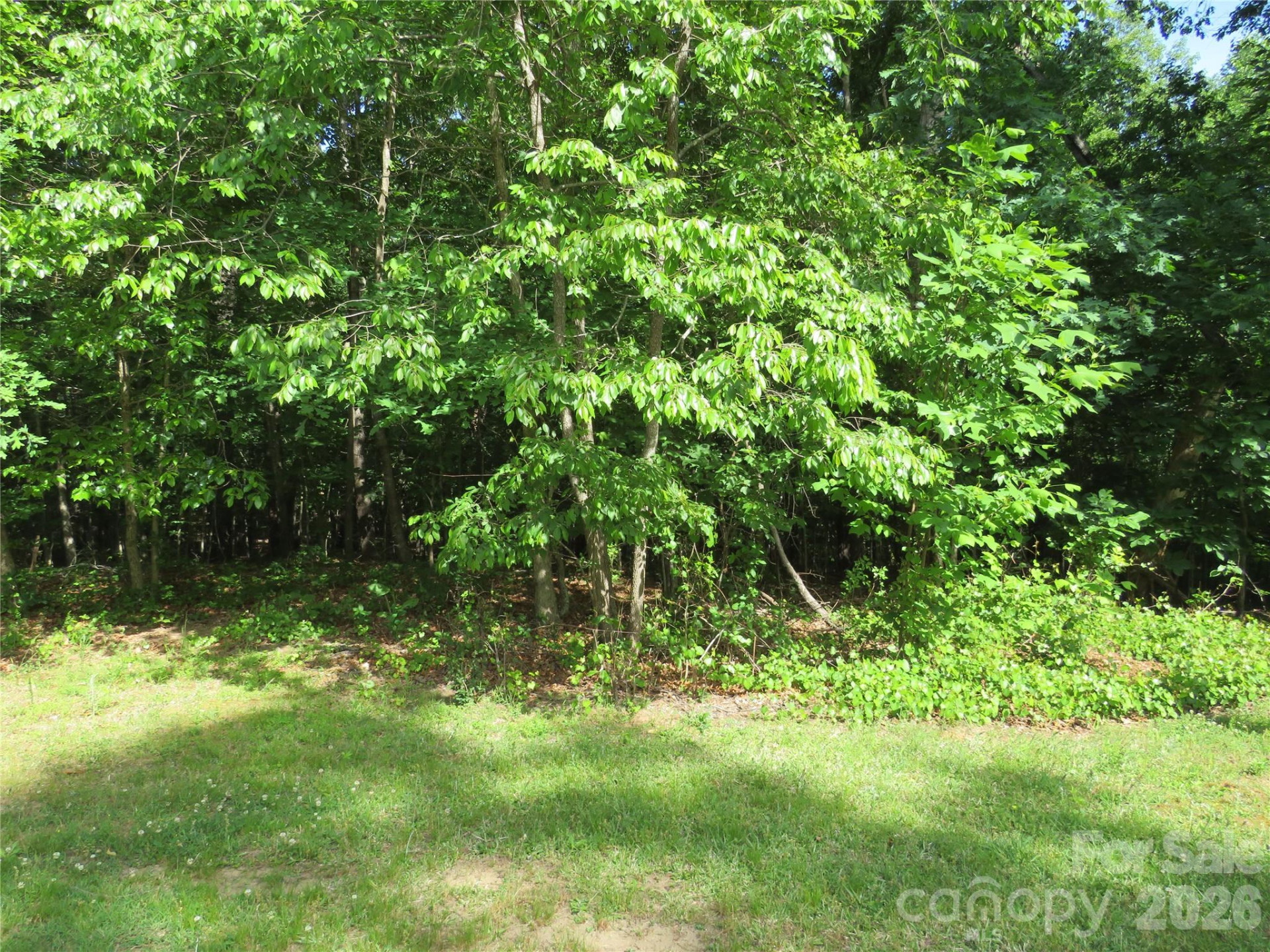 0 Woodleaf Road - Photo 4