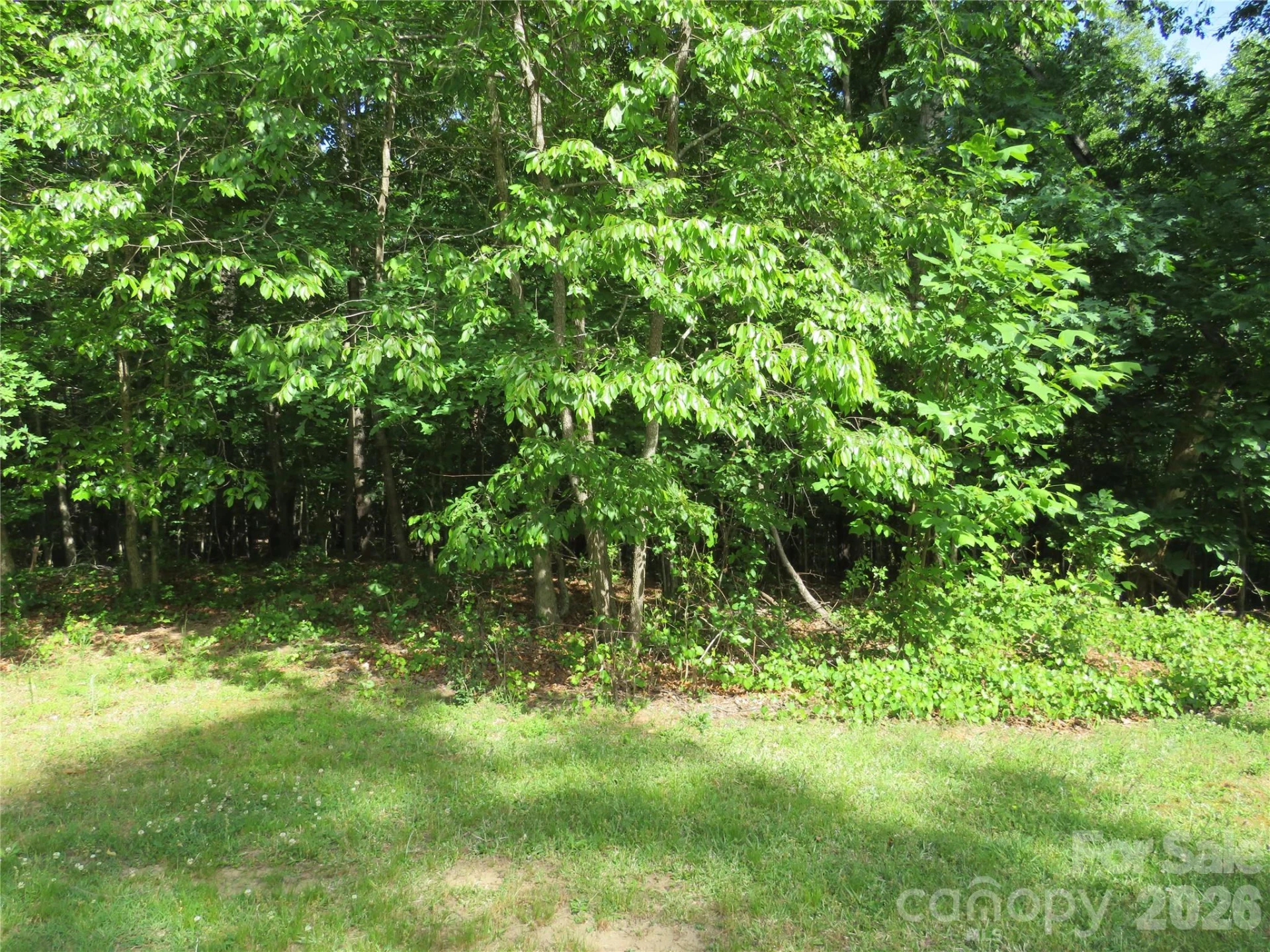 0 Woodleaf Road - Photo 4
