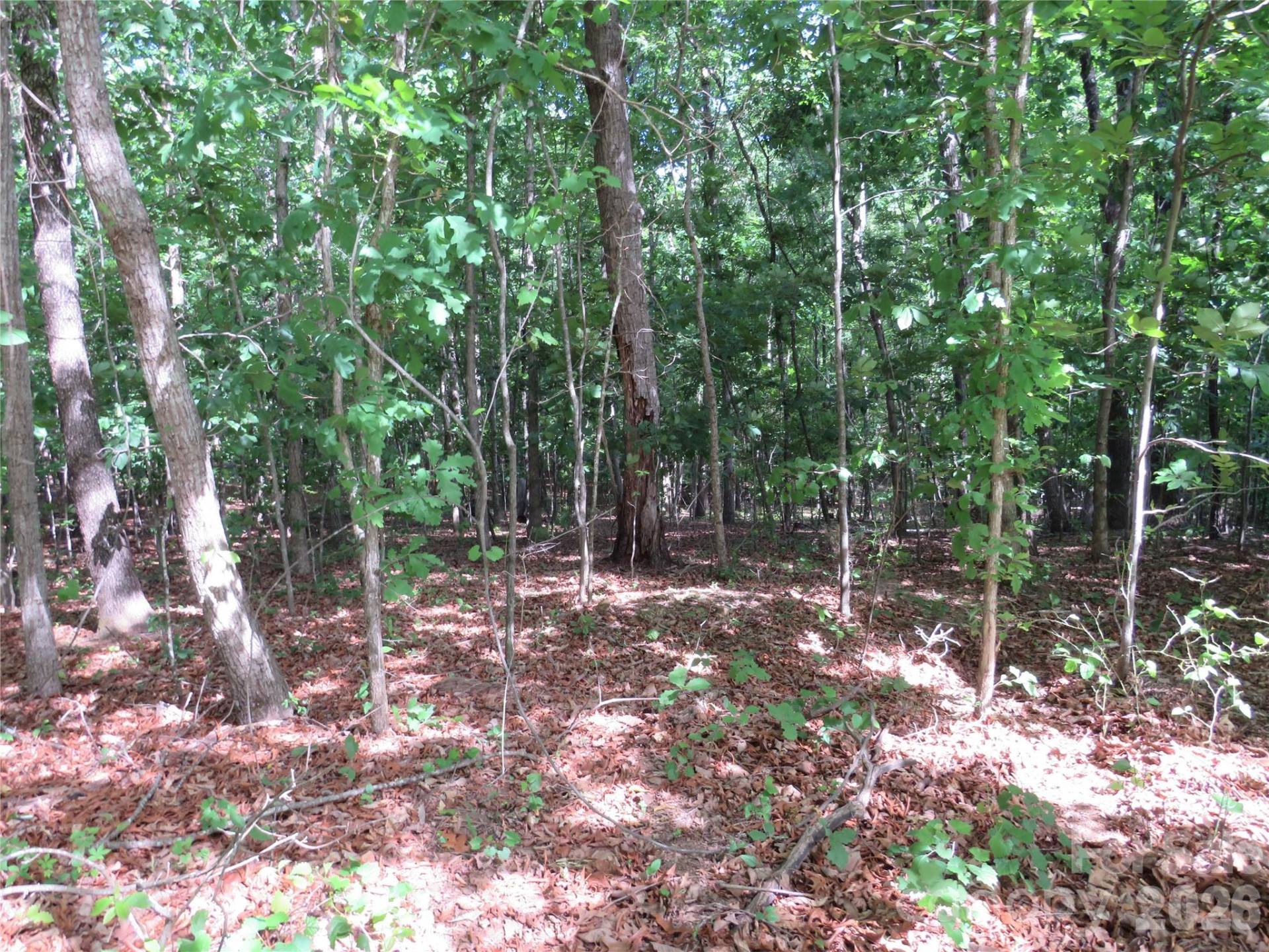 0 Woodleaf Road - Photo 6