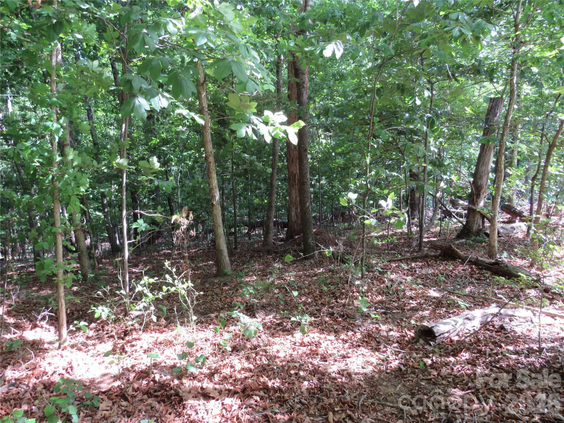 0 Woodleaf Road - Photo 7