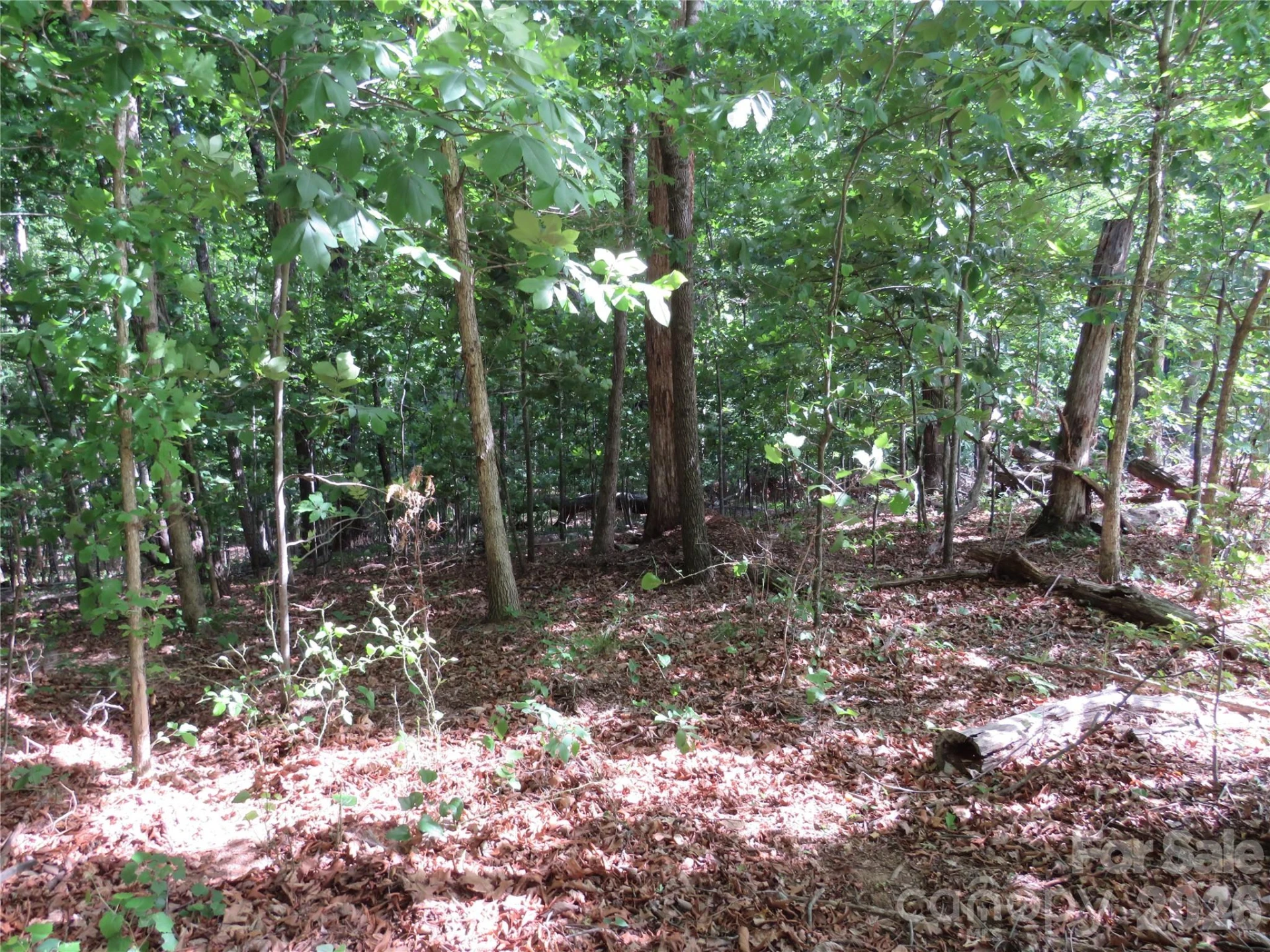 0 Woodleaf Road - Photo 7