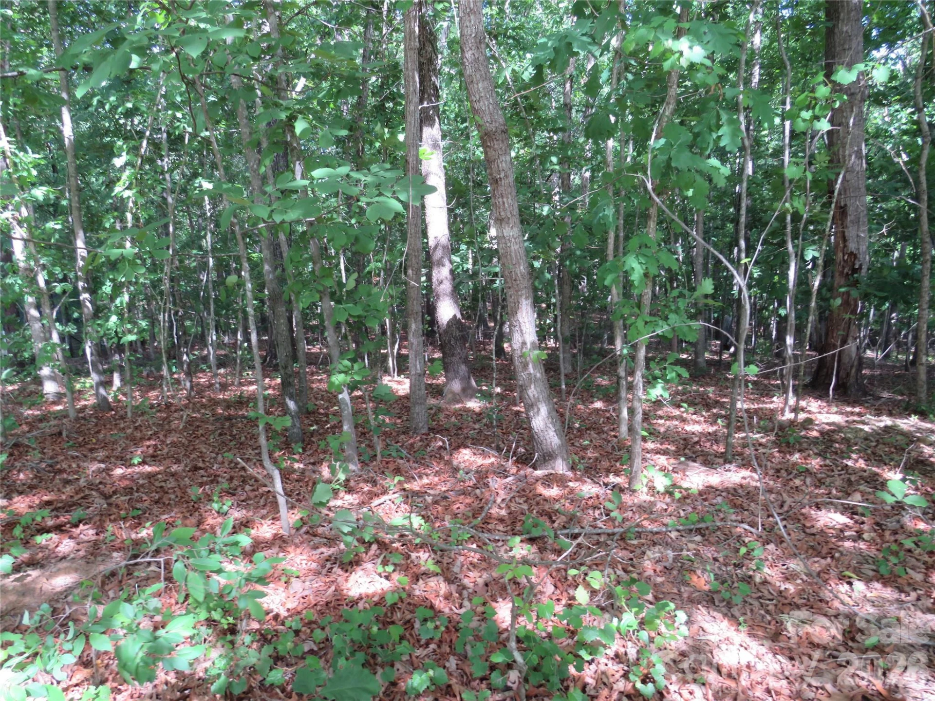 0 Woodleaf Road - Photo 8