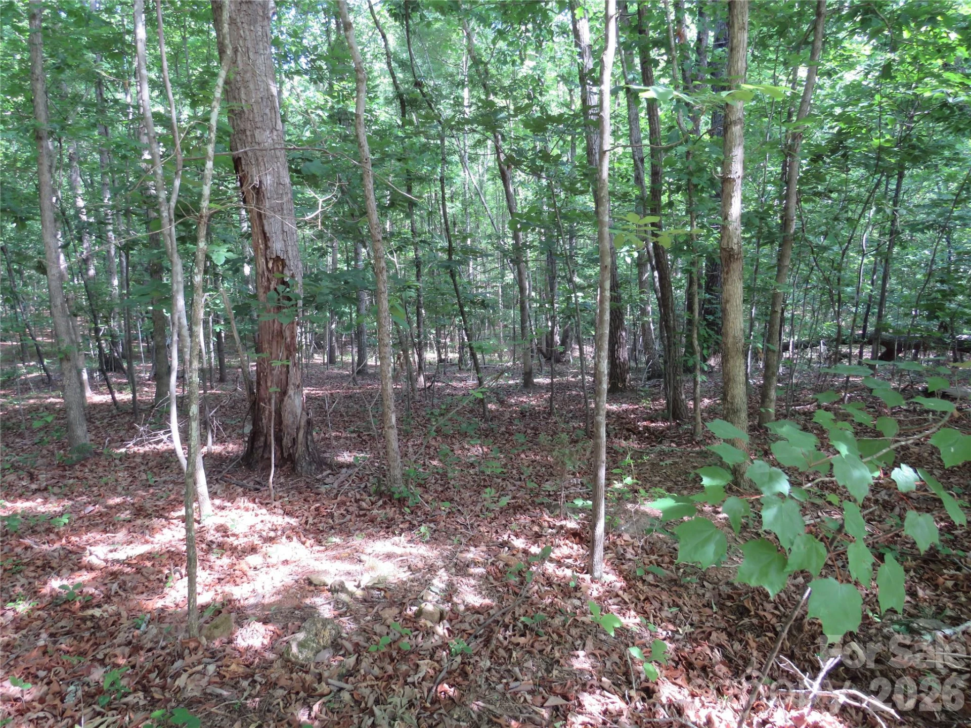 0 Woodleaf Road - Photo 10