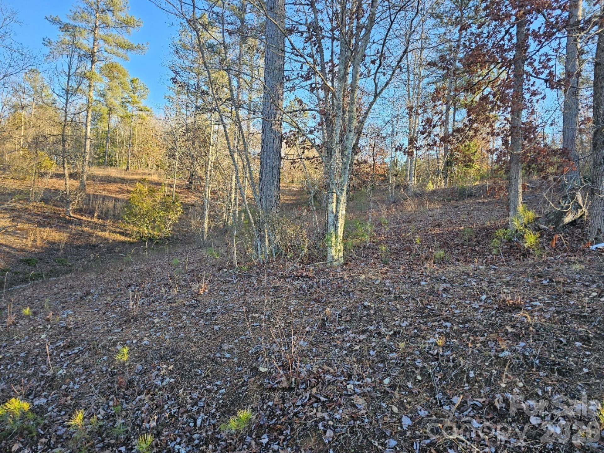 2167 Inlet Shore Road - Photo 2