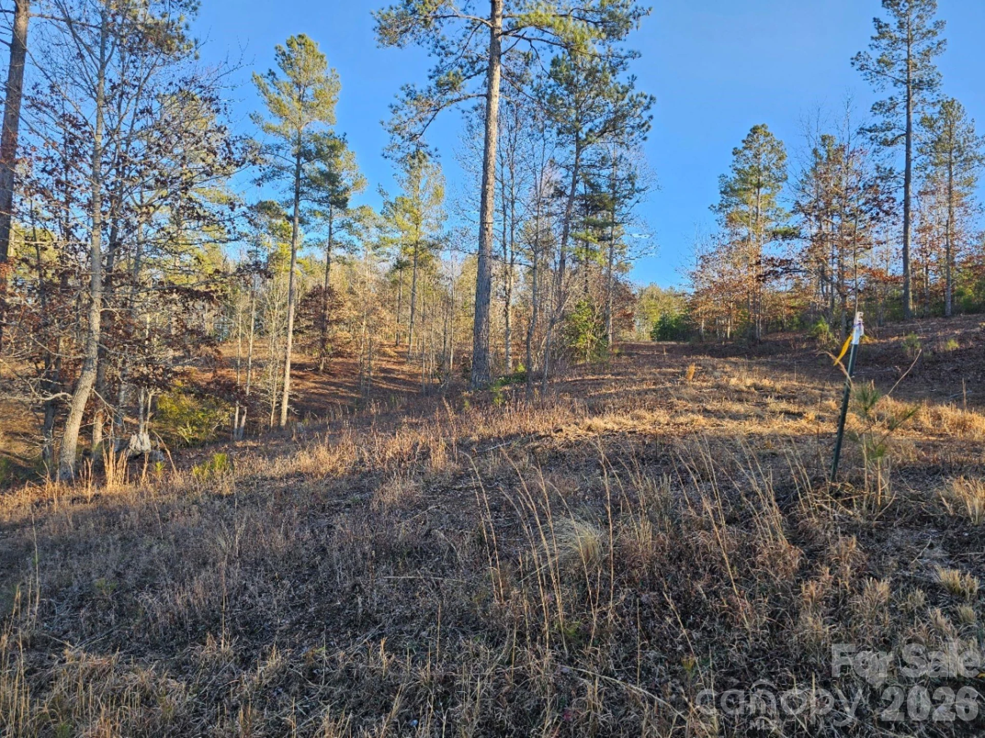 2167 Inlet Shore Road - Photo 11