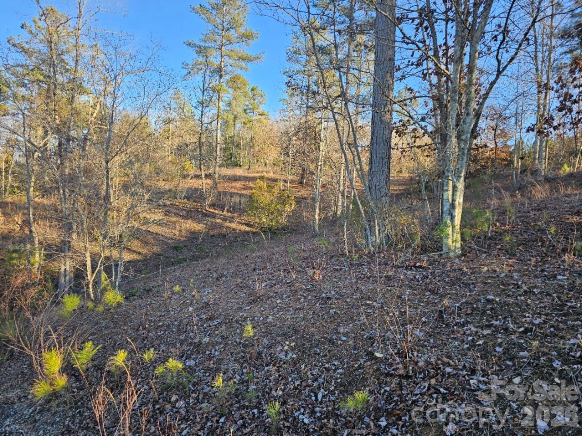 2167 Inlet Shore Road - Photo 3