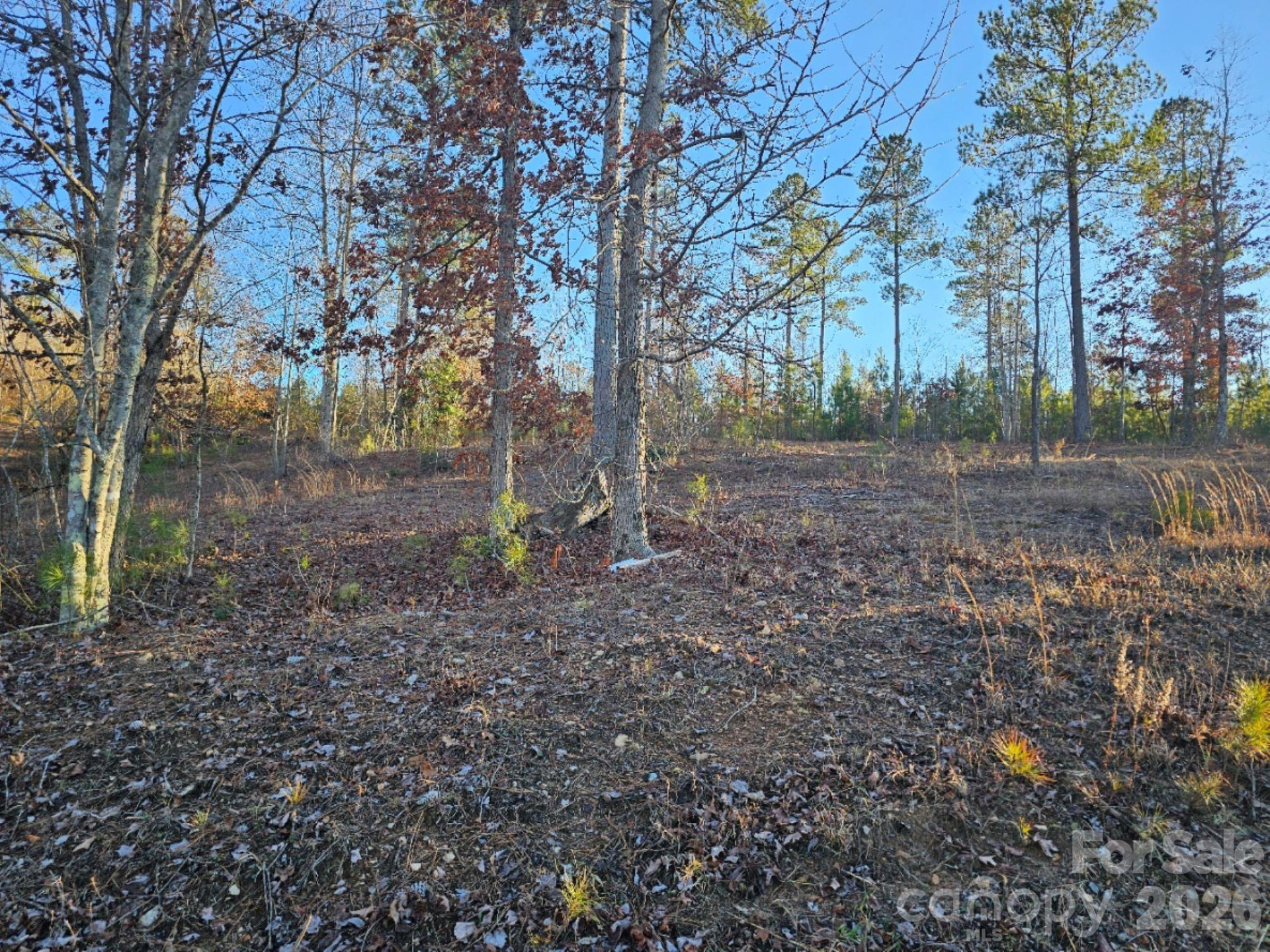 2167 Inlet Shore Road - Photo 4