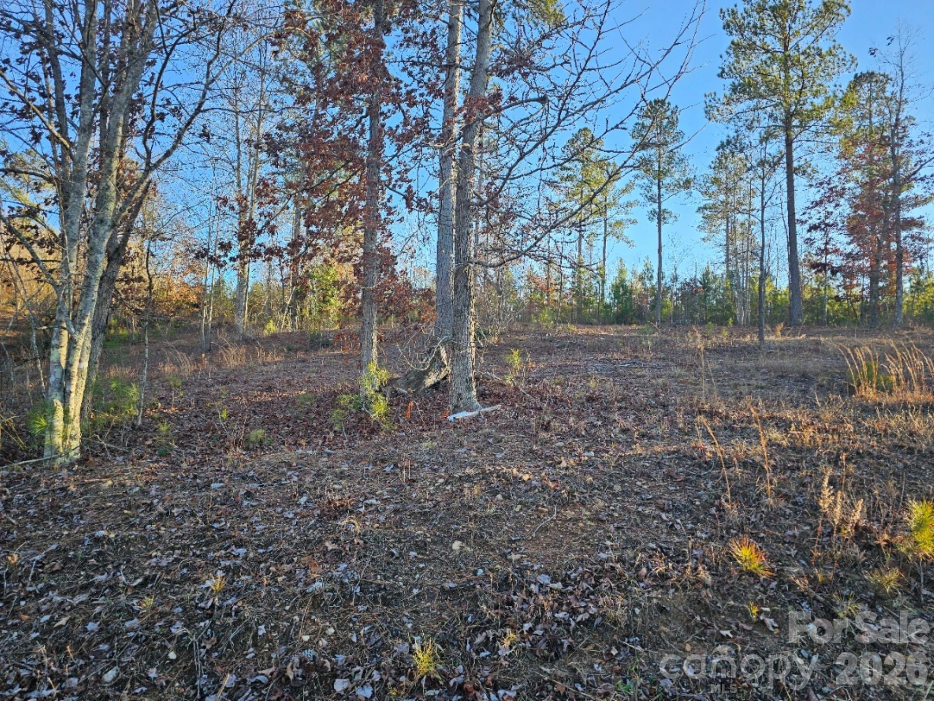 2167 Inlet Shore Road - Photo 4