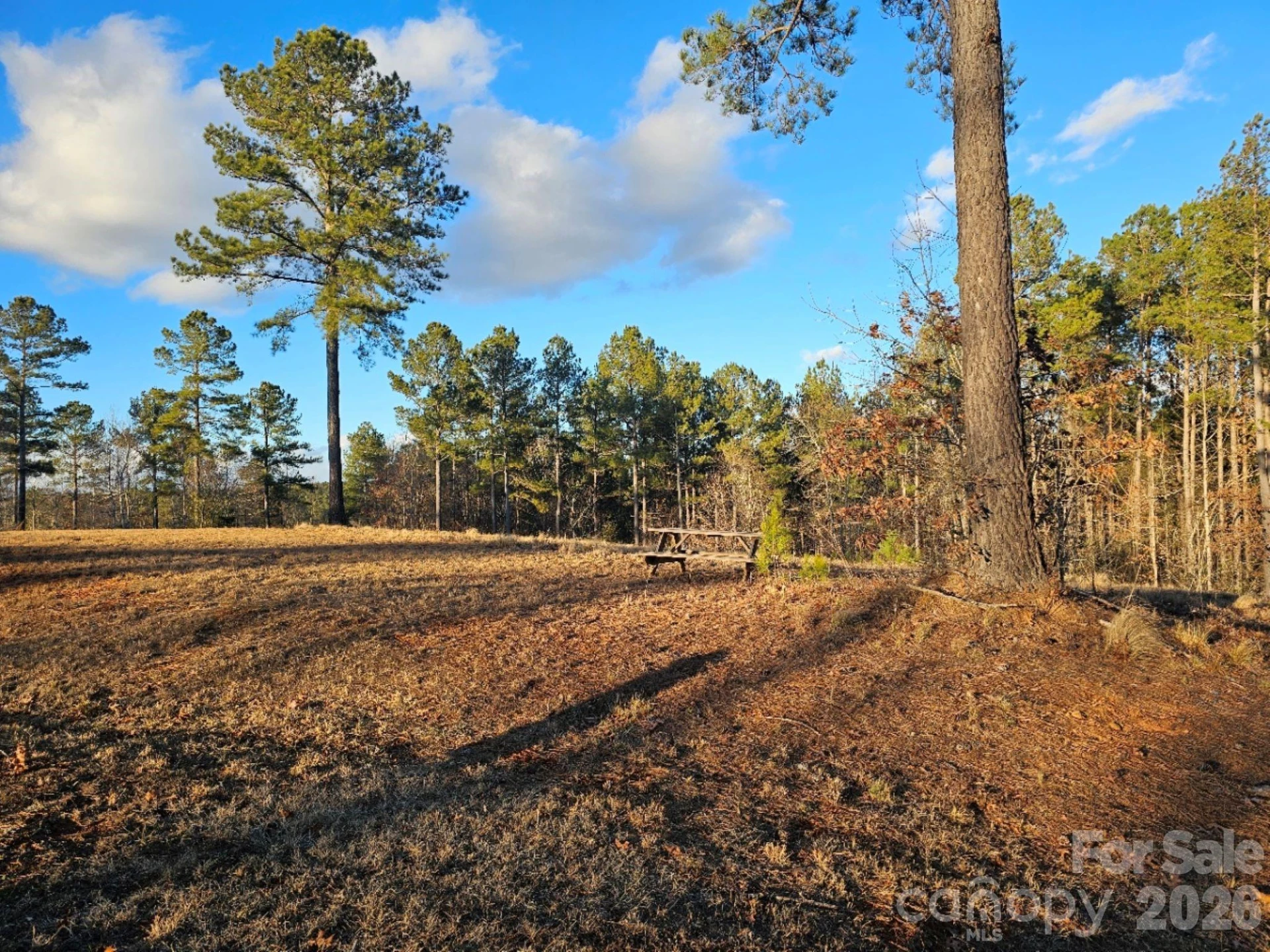 2167 Inlet Shore Road - Photo 6